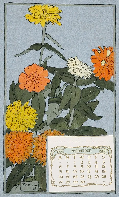 Zinnia
