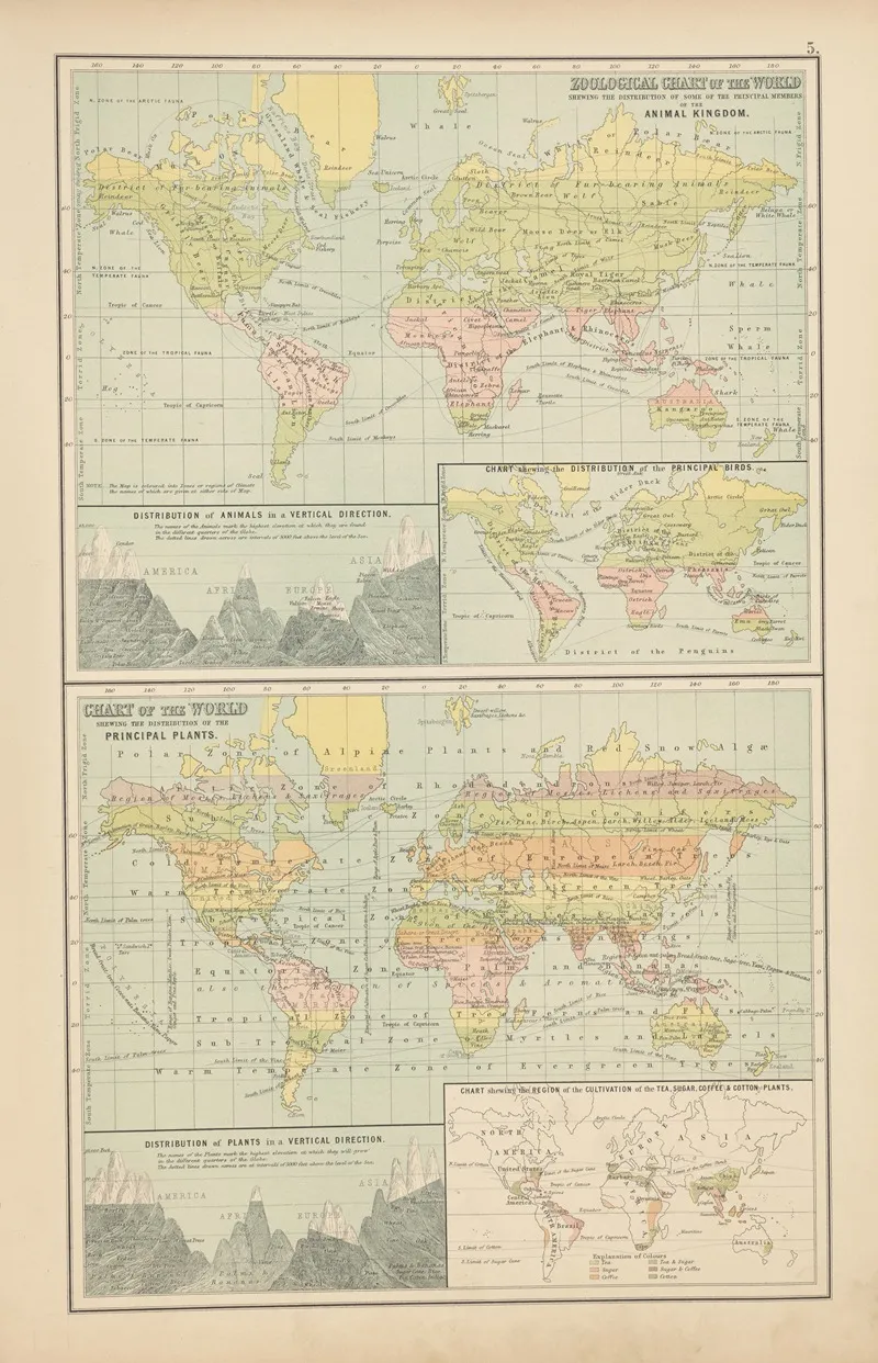 Zoological Chart Of The World Shewing The Distribution Of Some Of The Principal Members Of The Animal Kingdom Wall Art by Charles Scribner's Sons - High-Resolution Digital Print