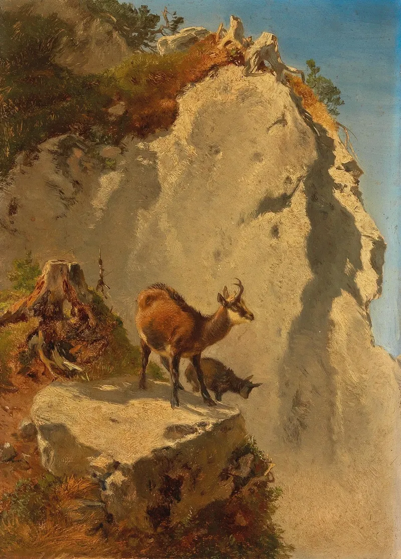Zwei Gamsen In Hochgebirge