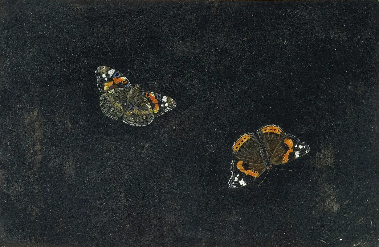 Zwei Schmetterlinge 2 Wall Art by Giovanna Garzoni - High-Resolution Digital Print
