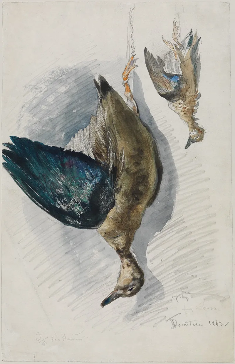Zwei Studien Eines Vogels Wall Art by Ferdinand Keller - High-Resolution Digital Print