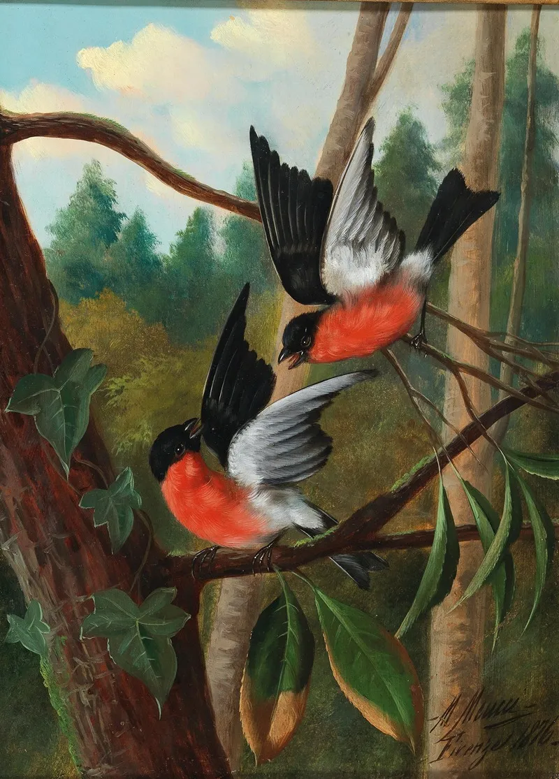 Zwei Vogel Im Streit Wall Art by Michelangelo Meucci - High-Resolution Digital Print