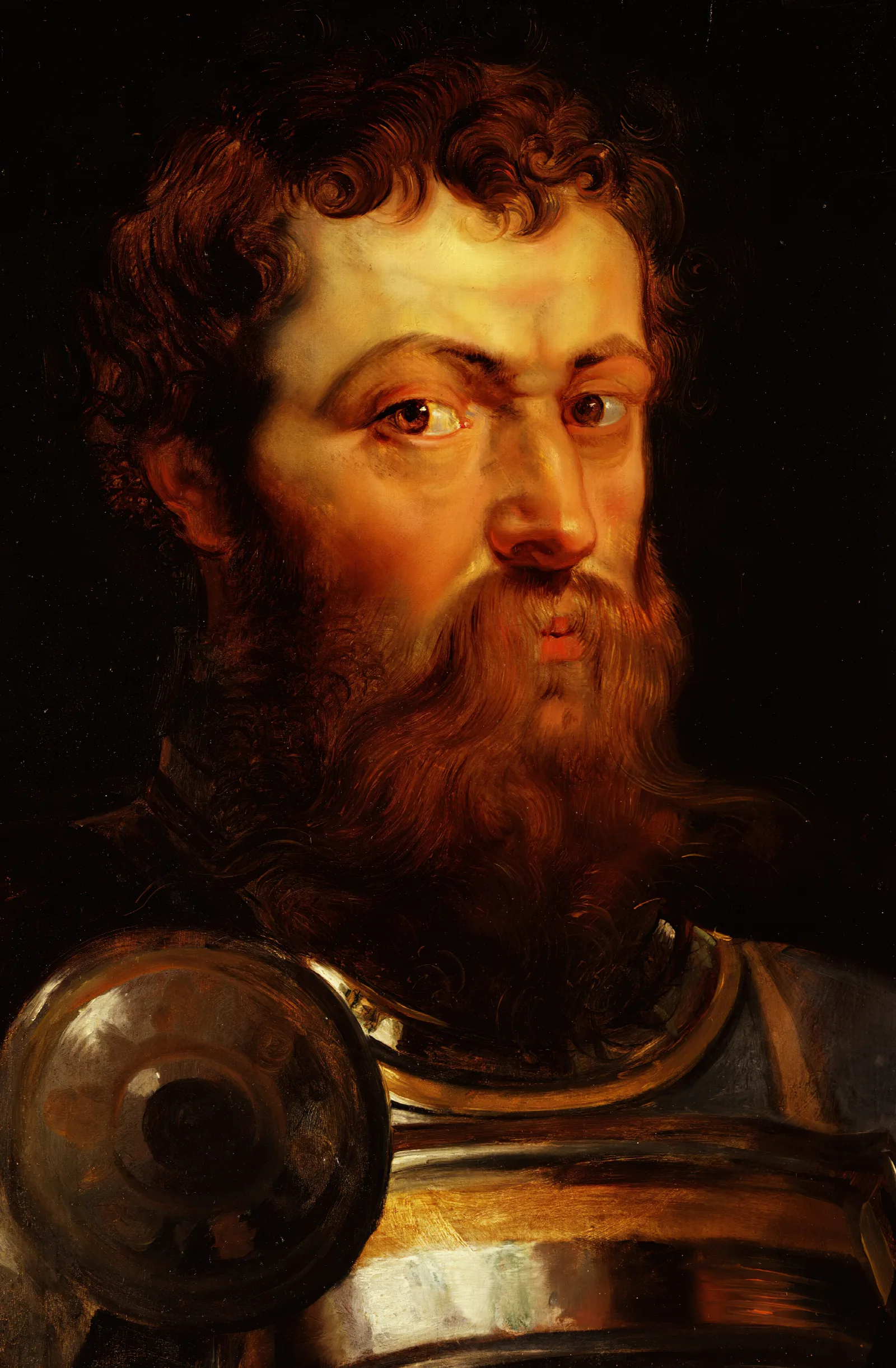 Warrior 2 Wall Art by Peter Paul Rubens - Canvas Print