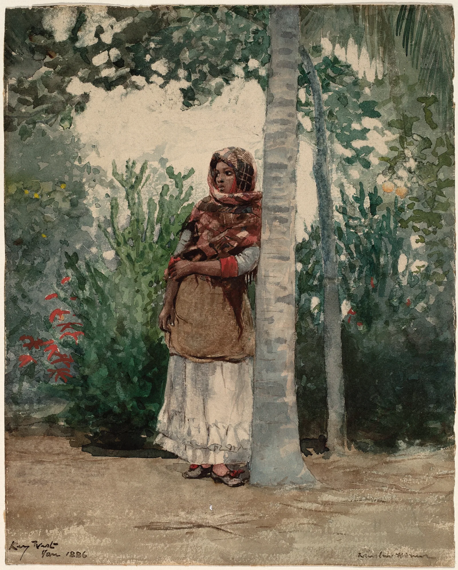Under A Palm Tree Wall Art by Winslow Homer - Canvas Print