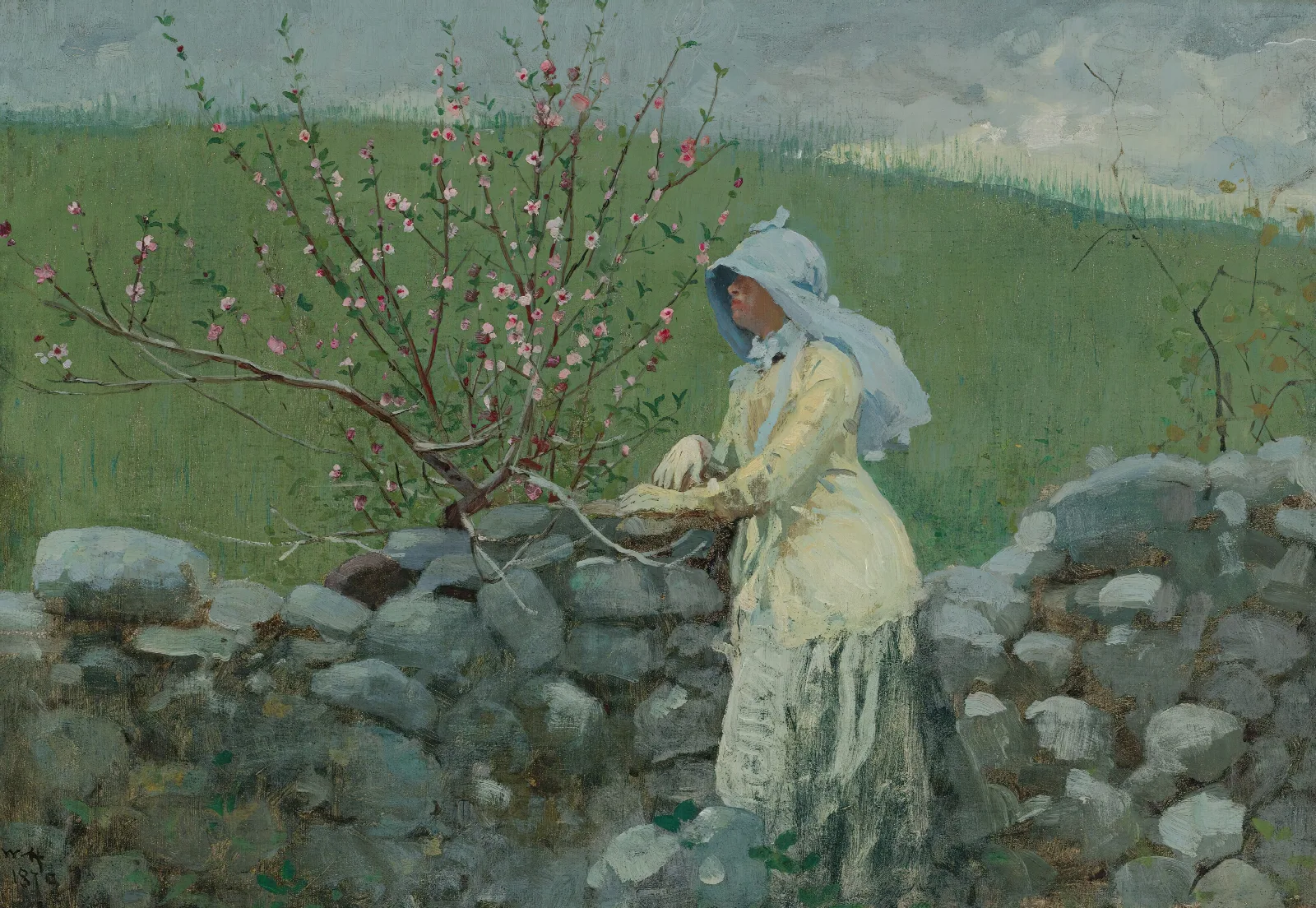 Peach Blossoms 2 Wall Art by Winslow Homer - Canvas Print