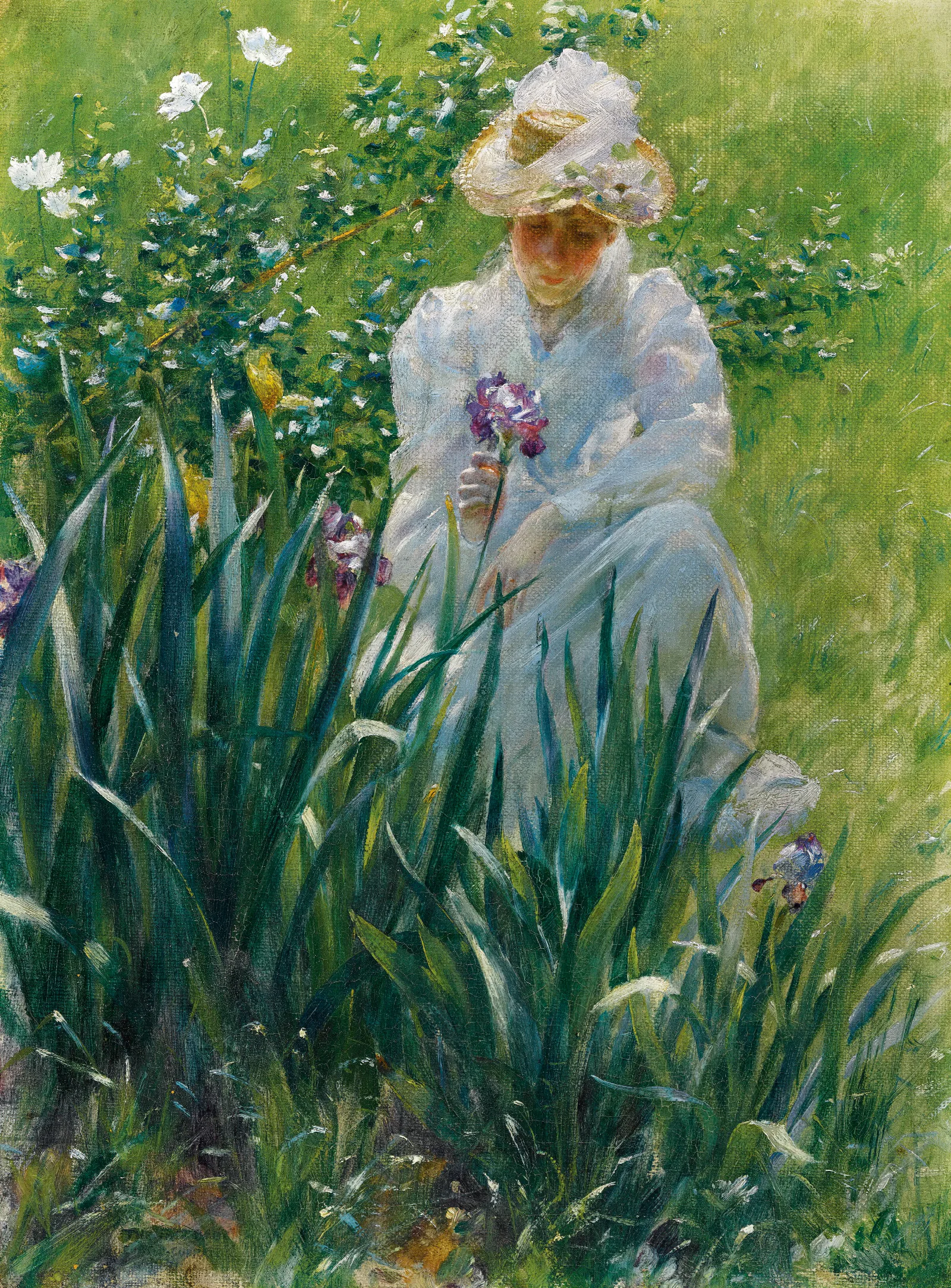 The Iris Bed Wall Art by Charles Courtney Curran - Canvas Print