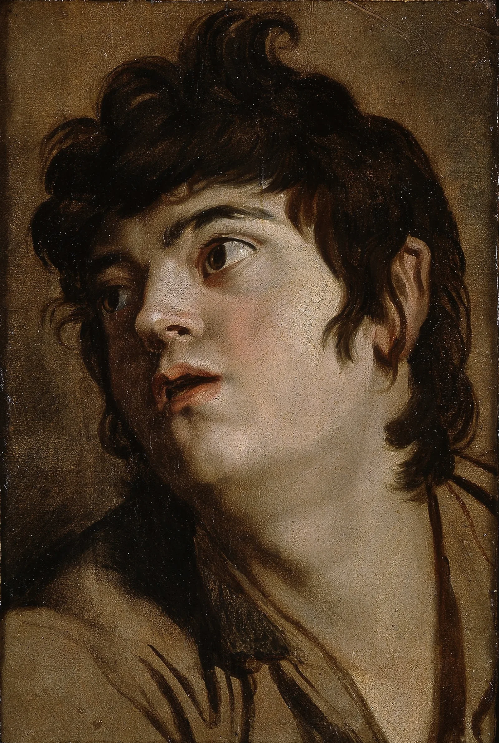 Head Of A Young Man 11 Wall Art by Peter Paul Rubens - Canvas Print