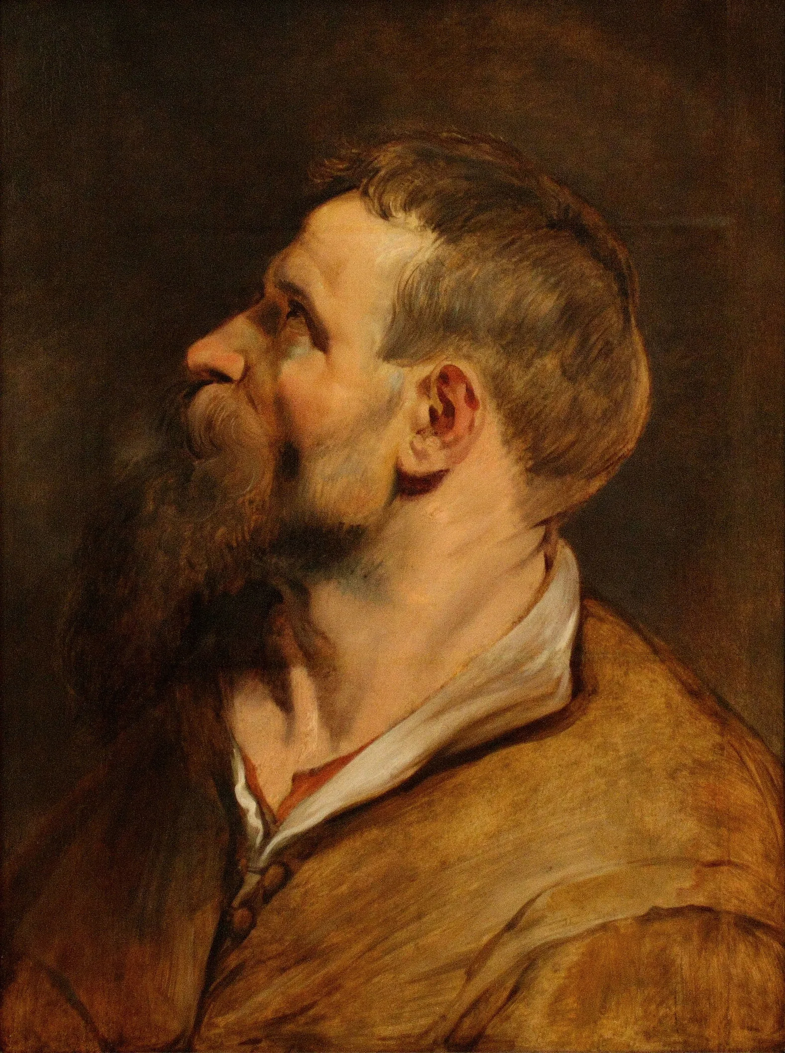 Head Of A Bearded Man 25 Wall Art by Peter Paul Rubens - Canvas Print