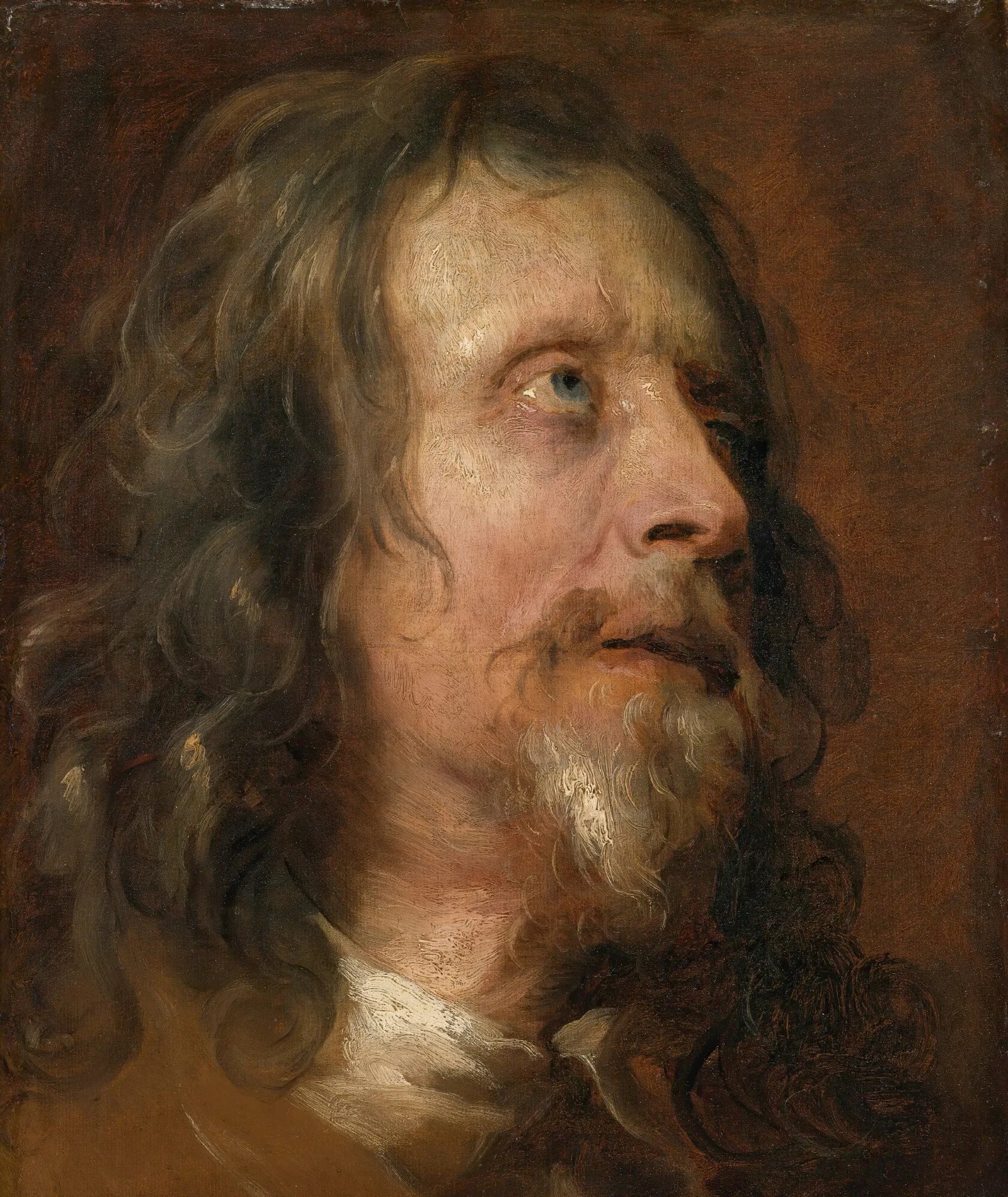 Portrait Study Of A Bearded Man Wall Art by Anthony van Dyck - Canvas Print