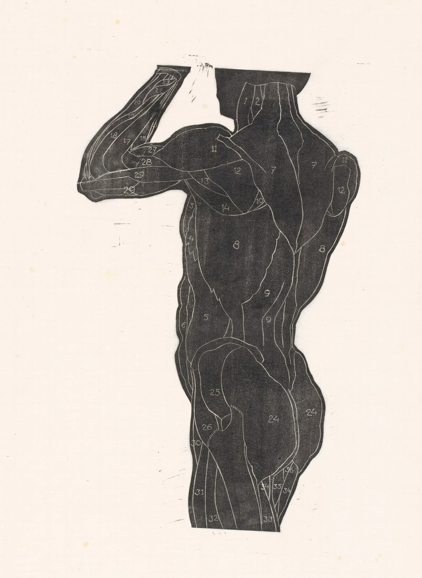Anatomische Studie Van De Rug En Bilspieren Van Een Man In Silhouet 2 Wall Art by Reijer Stolk - Canvas Print