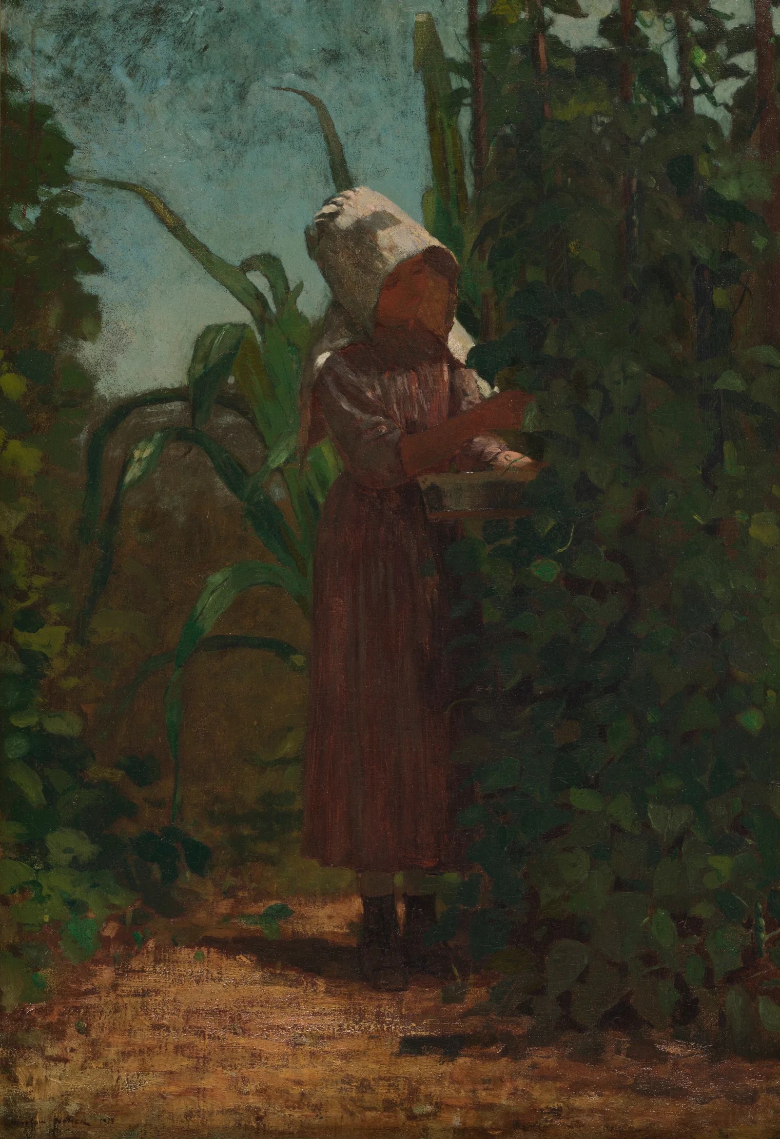The Bean Picker Wall Art by Winslow Homer - Canvas Print