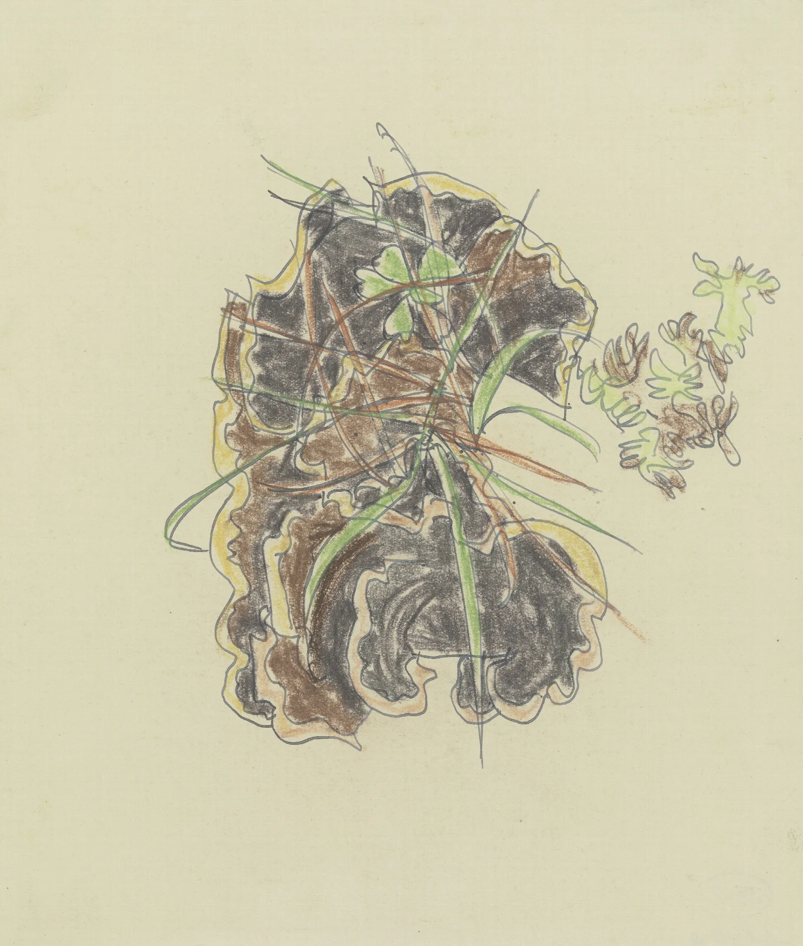 Study Of Plants 5 Wall Art by August Babberger - Canvas Print