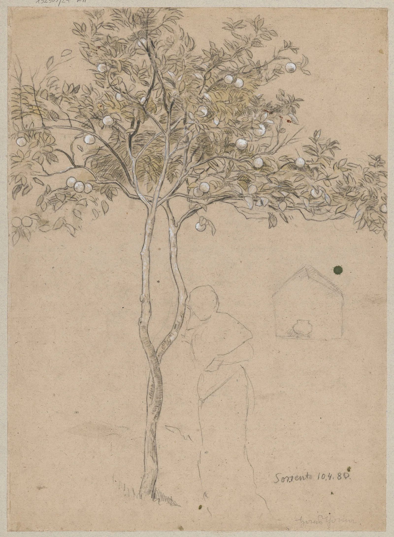Study Of An Orange Tree From The Vicinity Of Sorrento Wall Art by Hans Thoma - Canvas Print