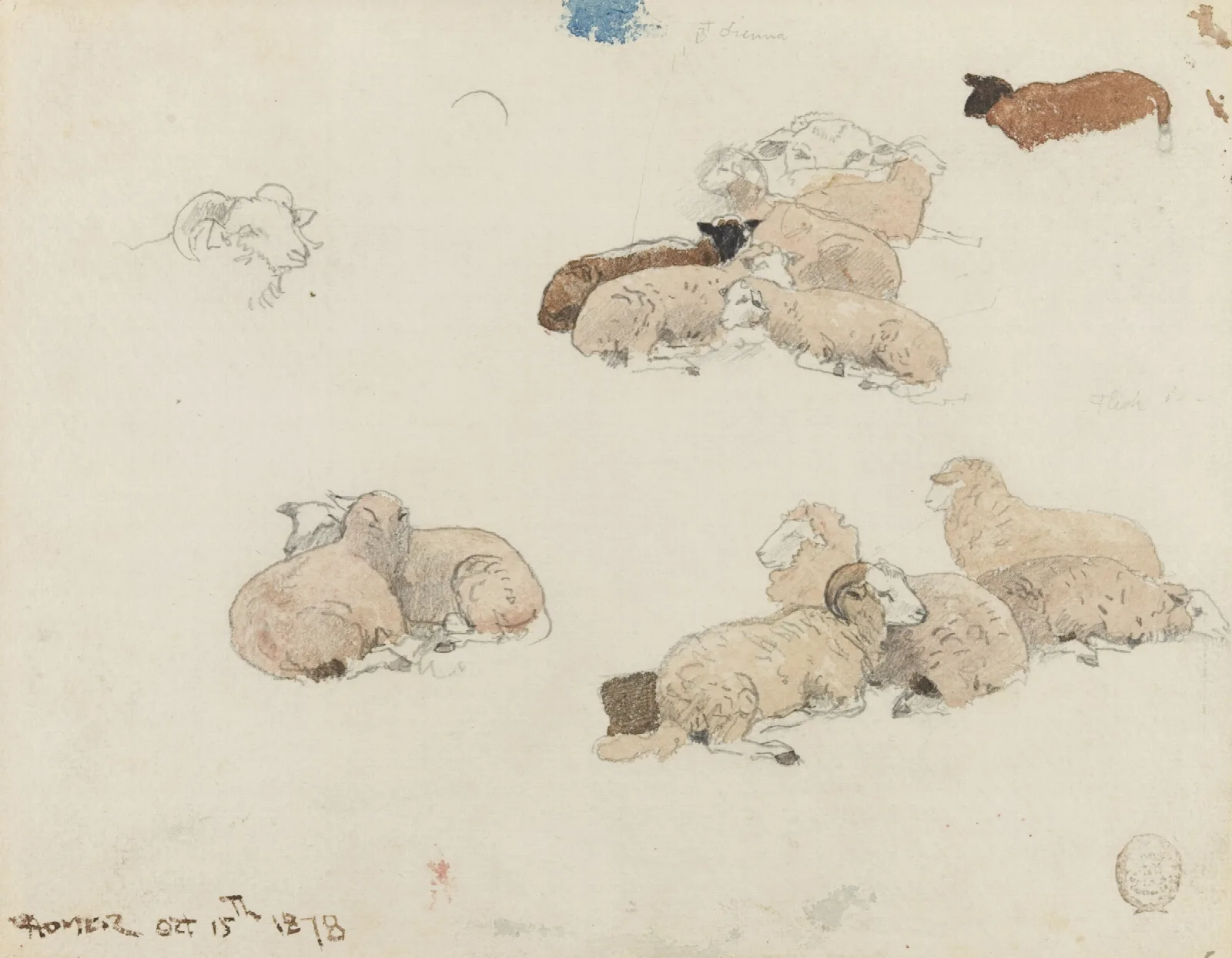 Sheep Resting 2 Wall Art by Winslow Homer - Canvas Print