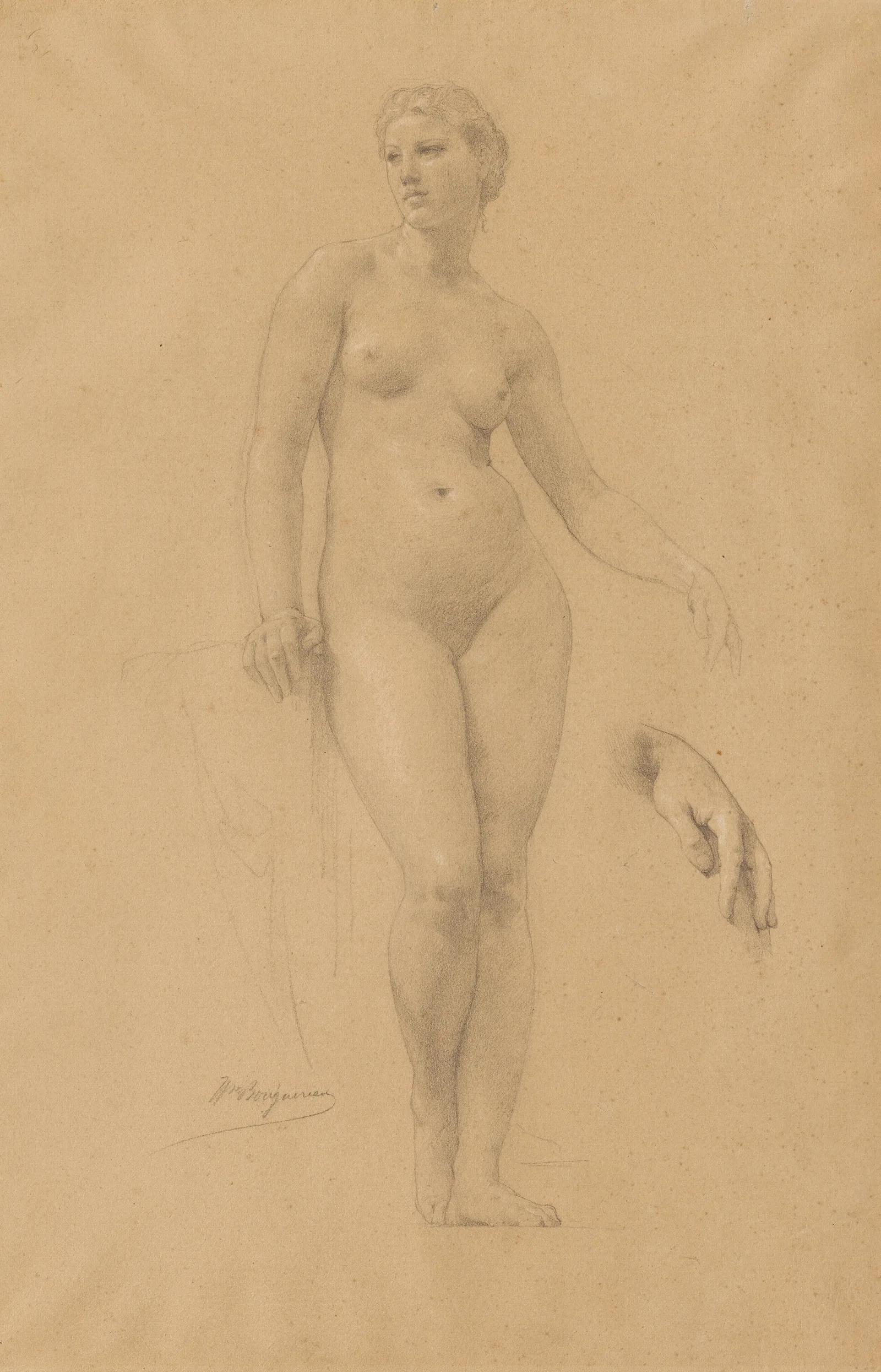 Study Of Venus For Apollo And The Muses In Olympus Wall Art by William Bouguereau - Canvas Print