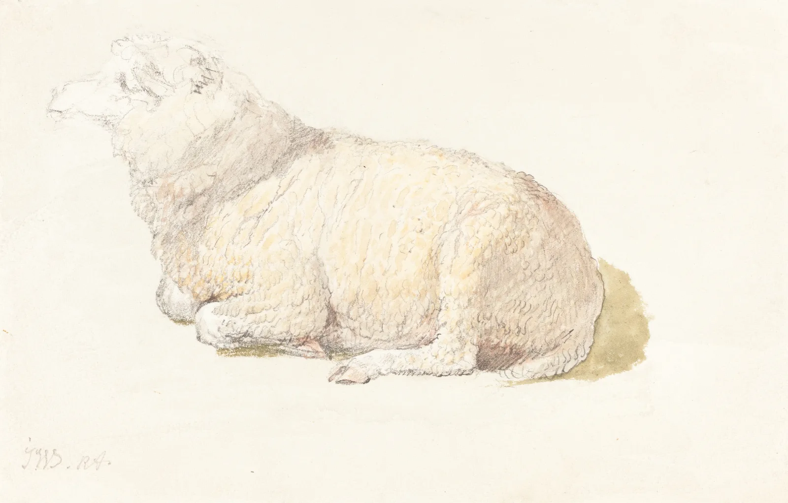 A Sheep Resting Wall Art by James Ward - Canvas Print