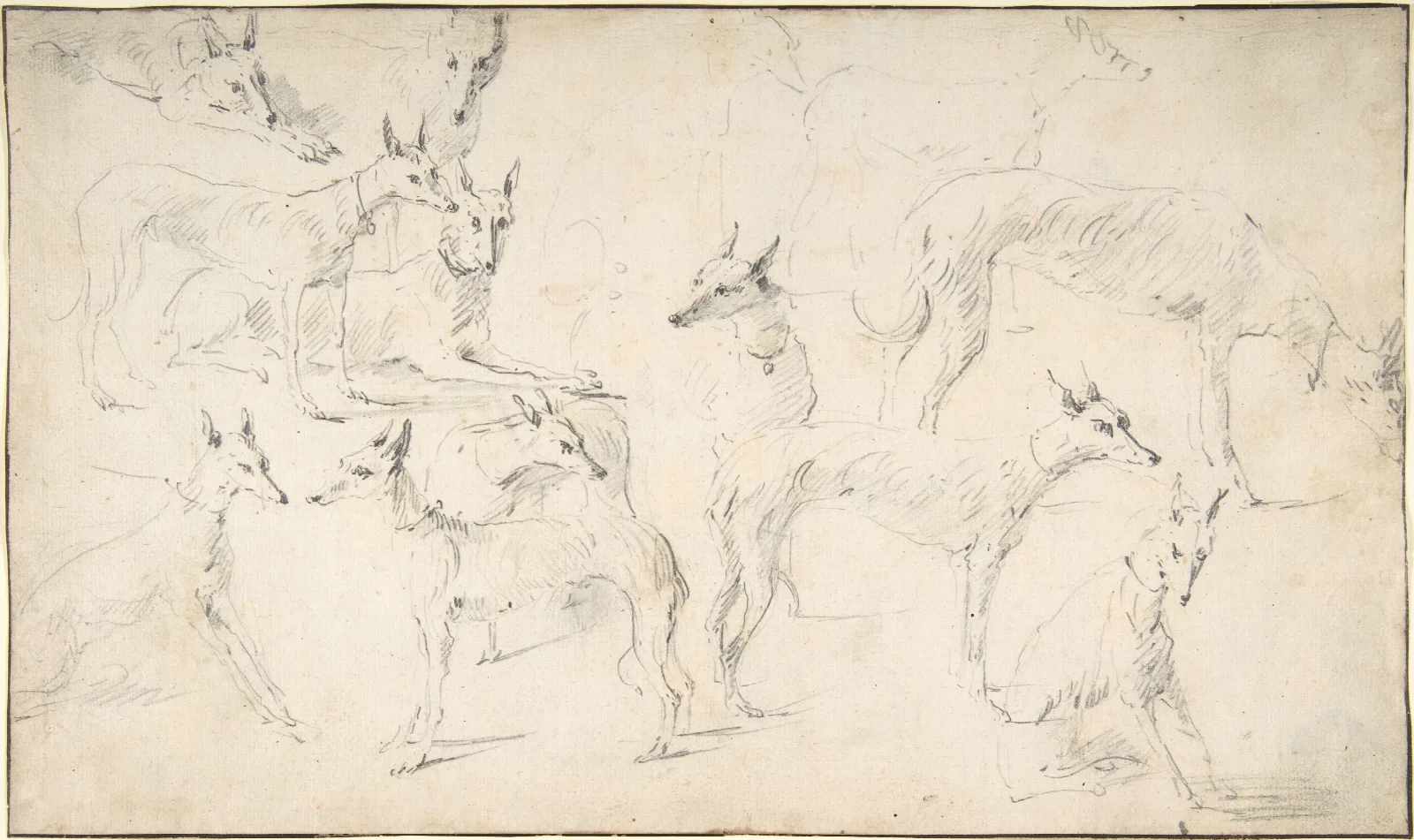 Studies Of Hounds Wall Art by David Teniers The Younger - Canvas Print