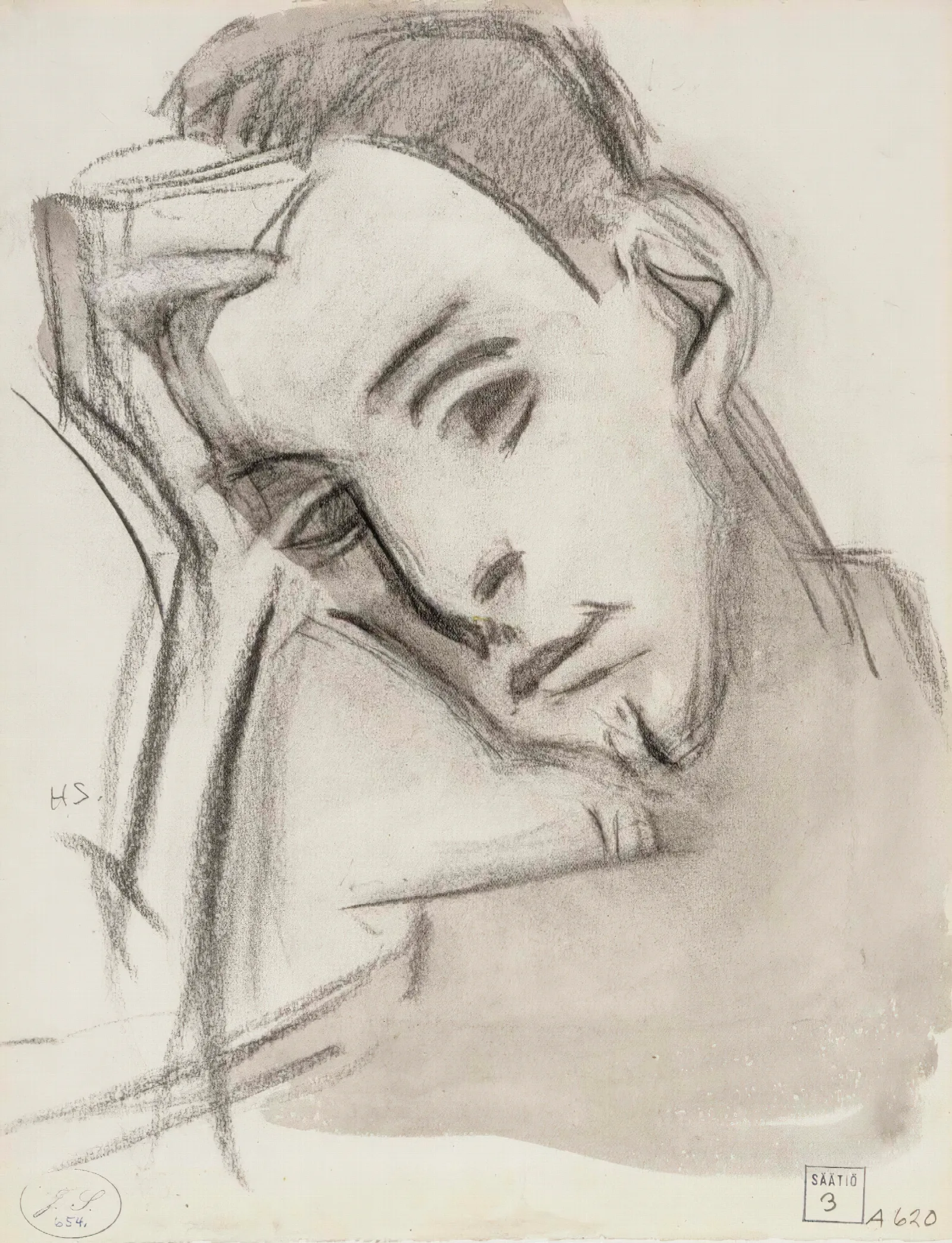 The Nephew Wall Art by Helene Schjerfbeck - Canvas Print