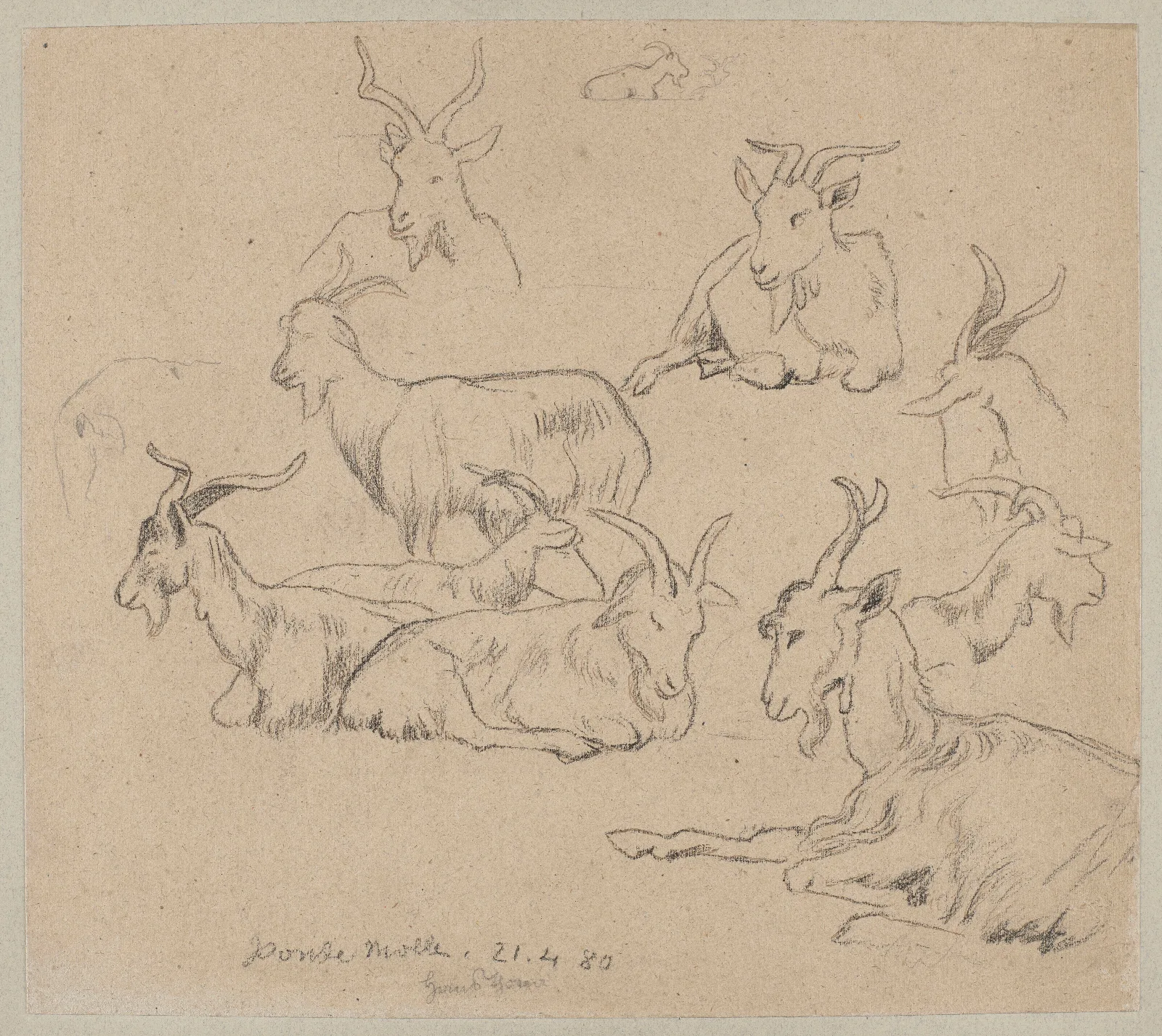 Studies Of Goats 2 Wall Art by Hans Thoma - Canvas Print