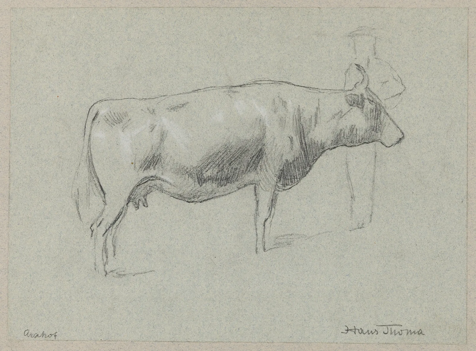 Study Of A Cow 8 Wall Art by Hans Thoma - Canvas Print