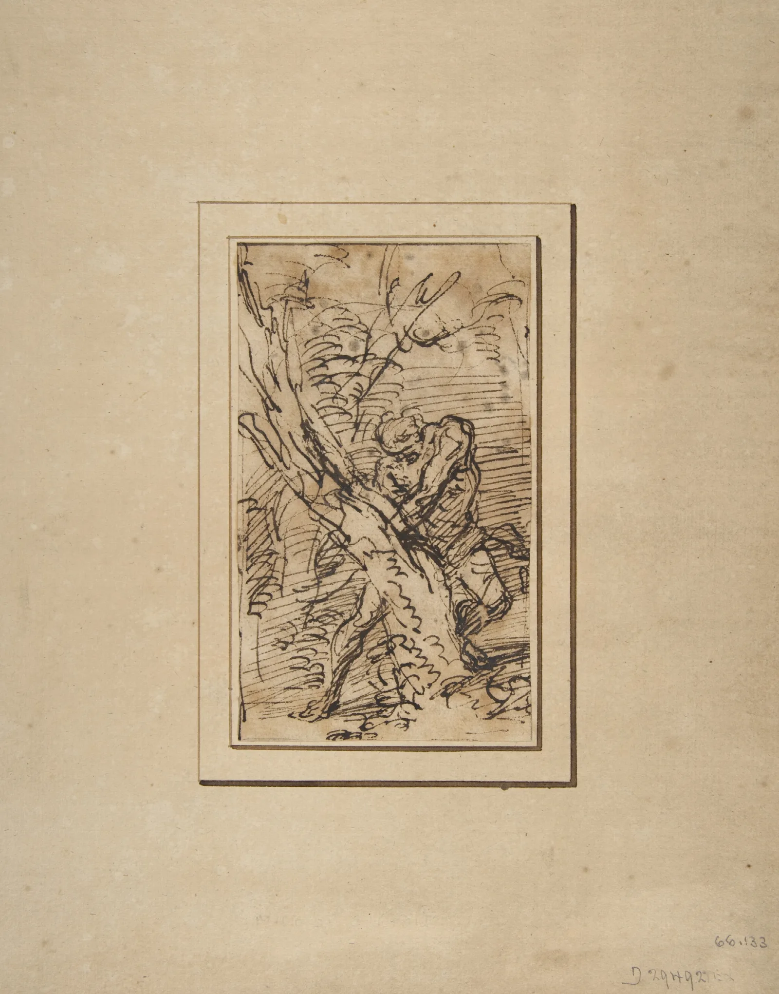 Milo Of Crotona Wall Art by Salvator Rosa - Canvas Print