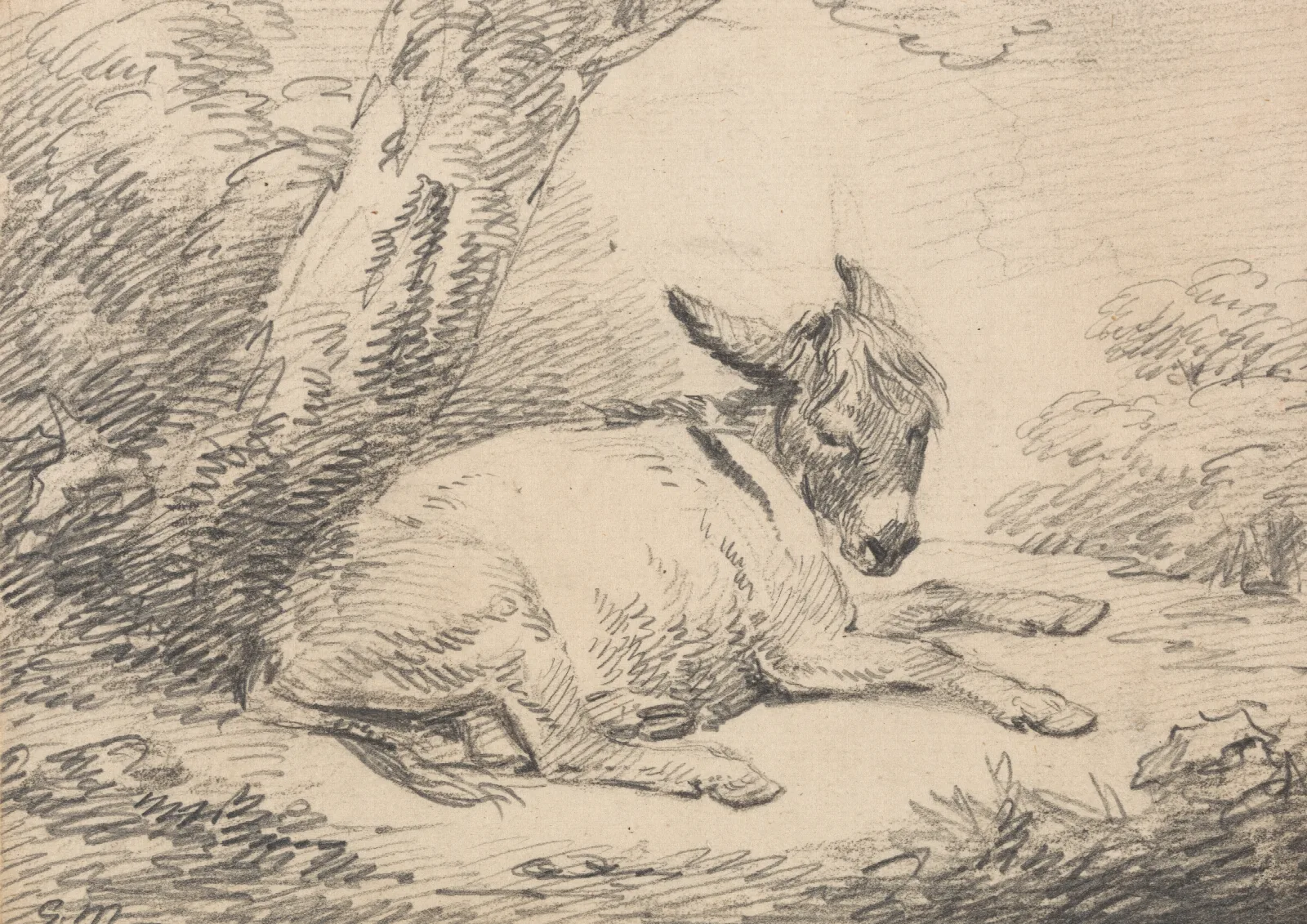 Study Of A Donkey Under A Tree Wall Art by George Morland - Canvas Print