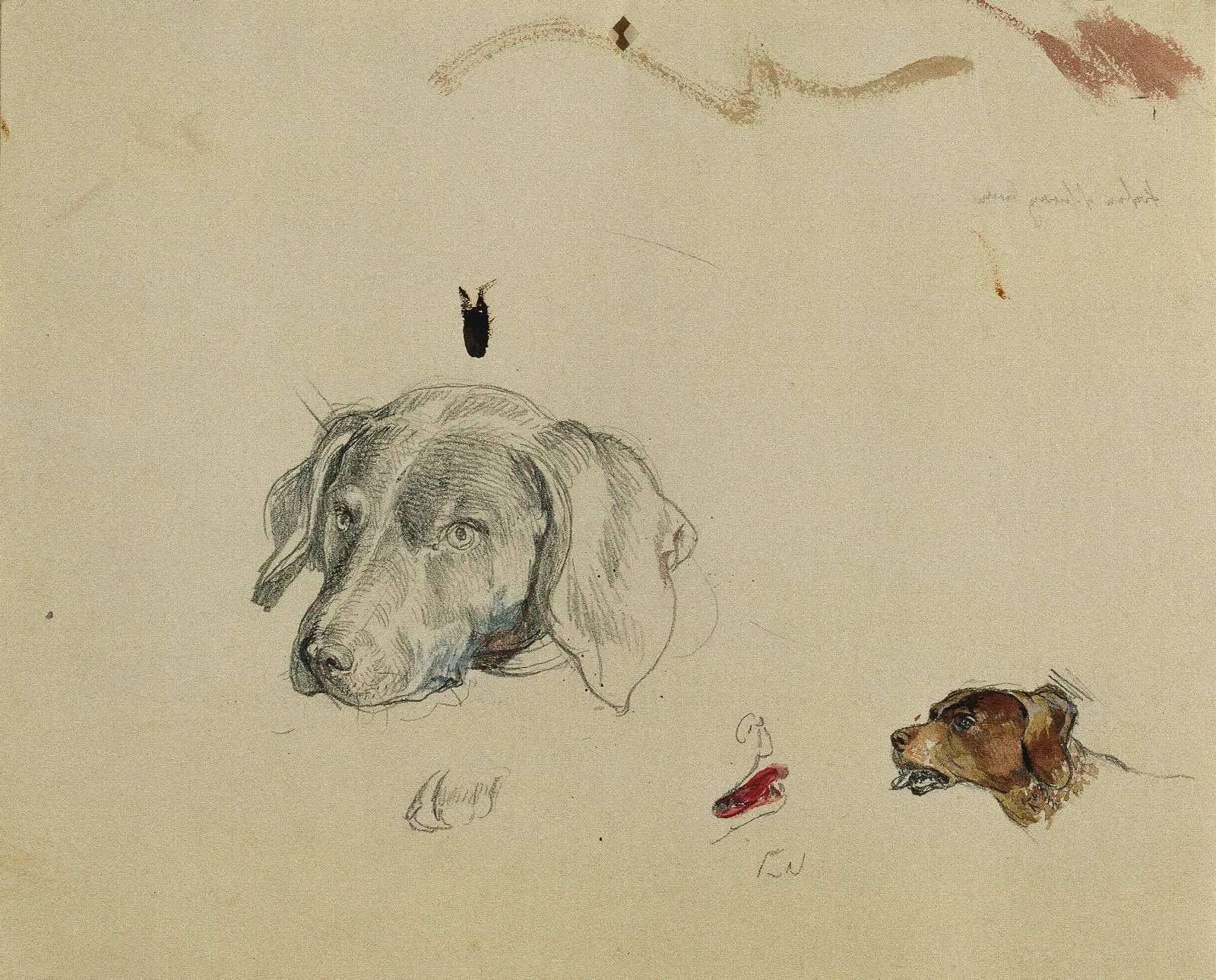 Hundestudie 2 Wall Art by Johann Peter Krafft - Canvas Print