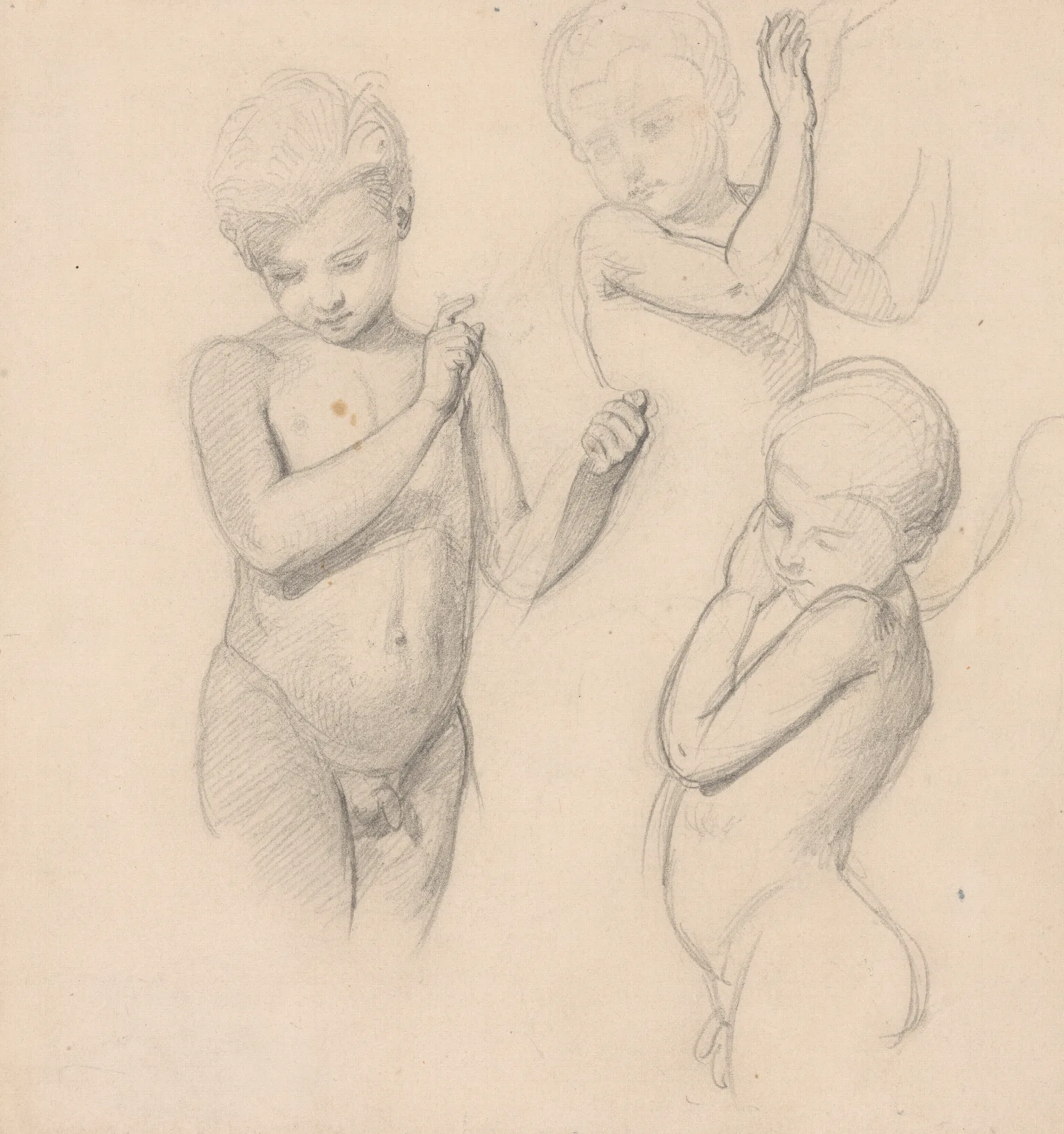 Sketches Of Angels For The Painting The Immaculate Conception Wall Art by Józef Simmler - Canvas Print