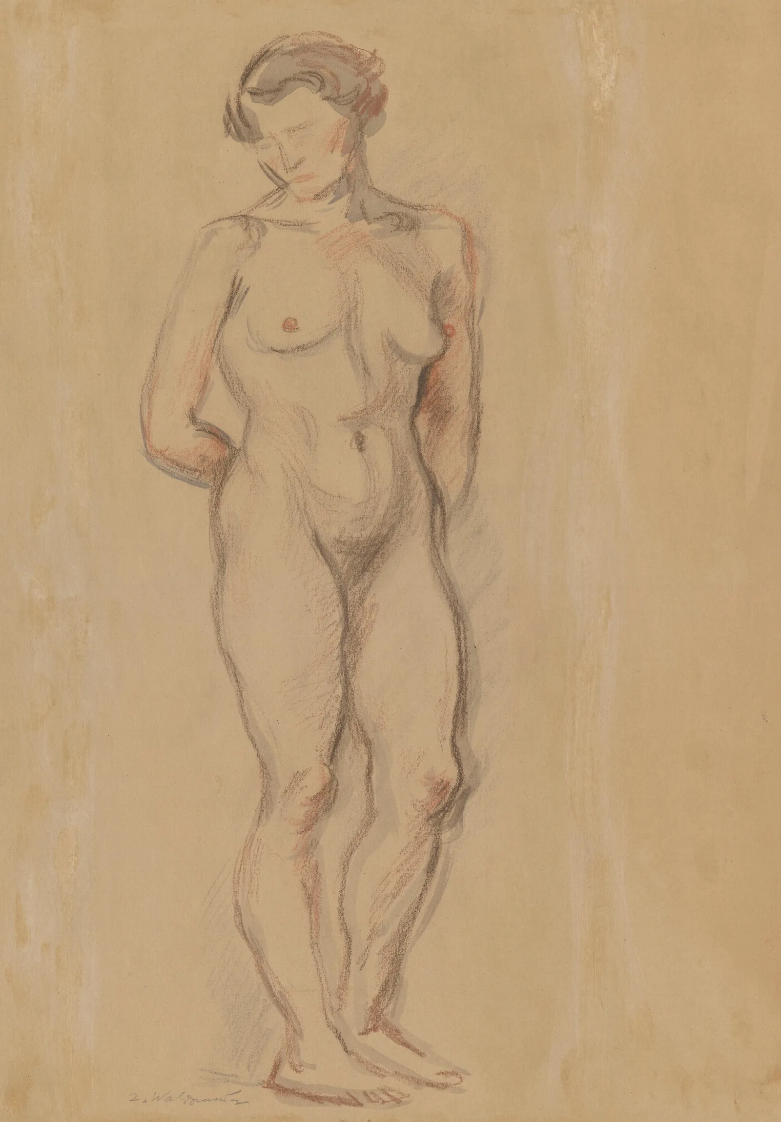 Standing Nude 10 Wall Art by Zygmunt Waliszewski - Canvas Print