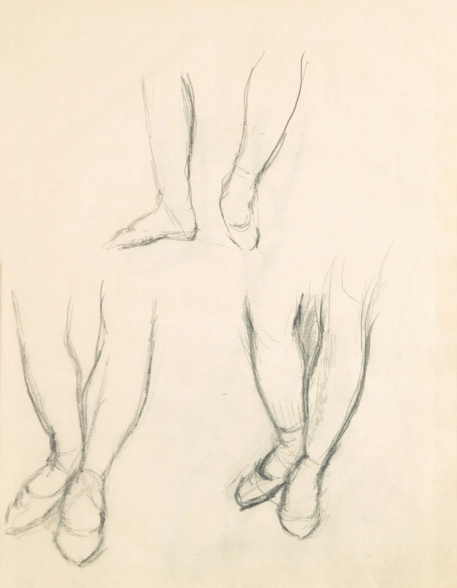 Figure Studies 10 2 Wall Art by Edgar Degas - Canvas Print