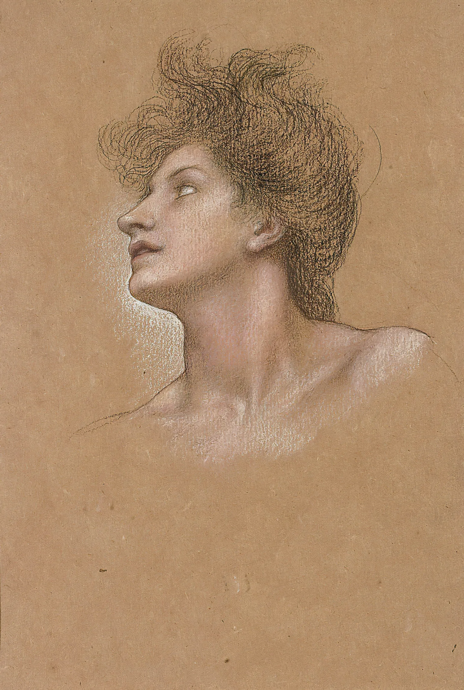 Study Of A Womans Head 5 Wall Art by Evelyn De Morgan - Canvas Print