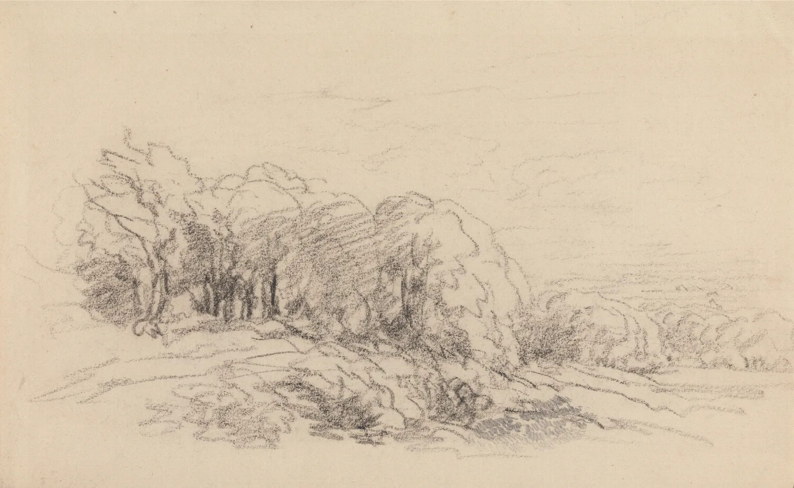 Landscape With Trees 16 Wall Art by David Cox - Canvas Print