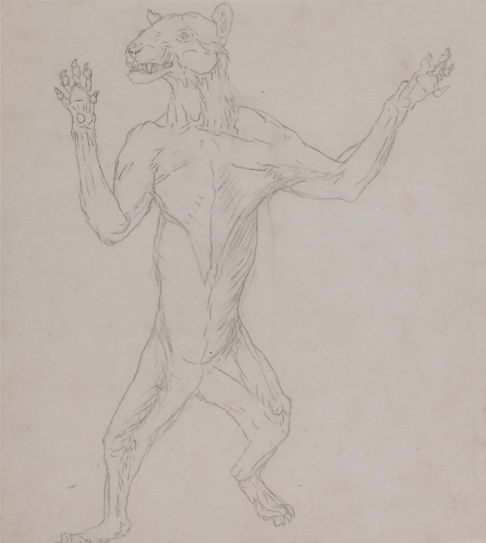 Tiger Body Standing In Human Posture Wall Art by George Stubbs - Canvas Print