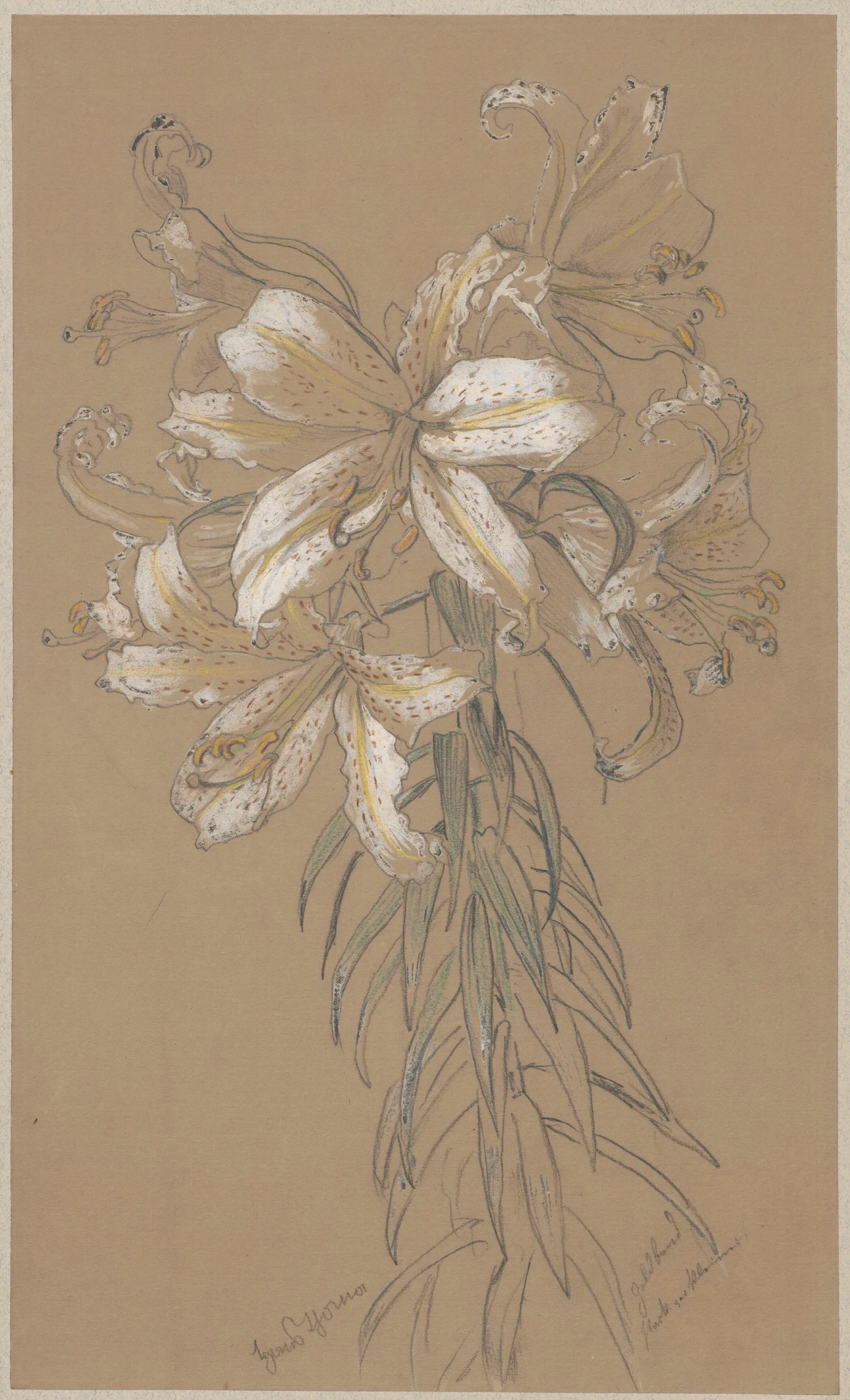 Lilies 6 Wall Art by Hans Thoma - Canvas Print