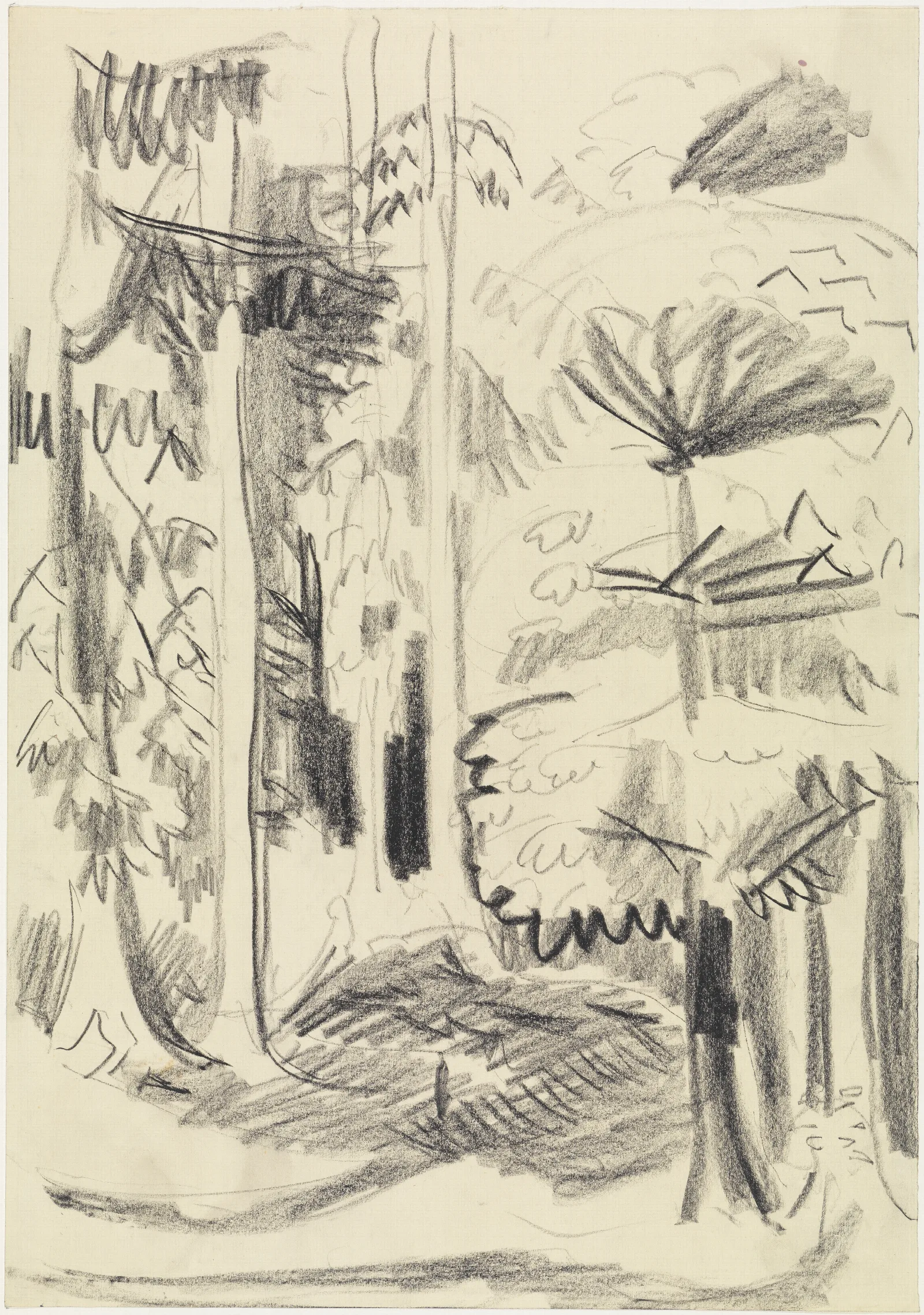 Mischwald Wall Art by Ernst Ludwig Kirchner - Canvas Print