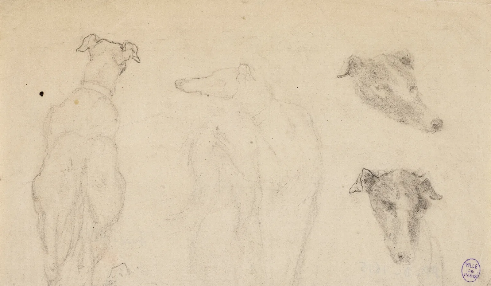 Deux Esquisses De Chiens Et Deux Croquis De Tete De Chien Wall Art by Narcisse-Virgile Diaz de La Peña - Canvas Print