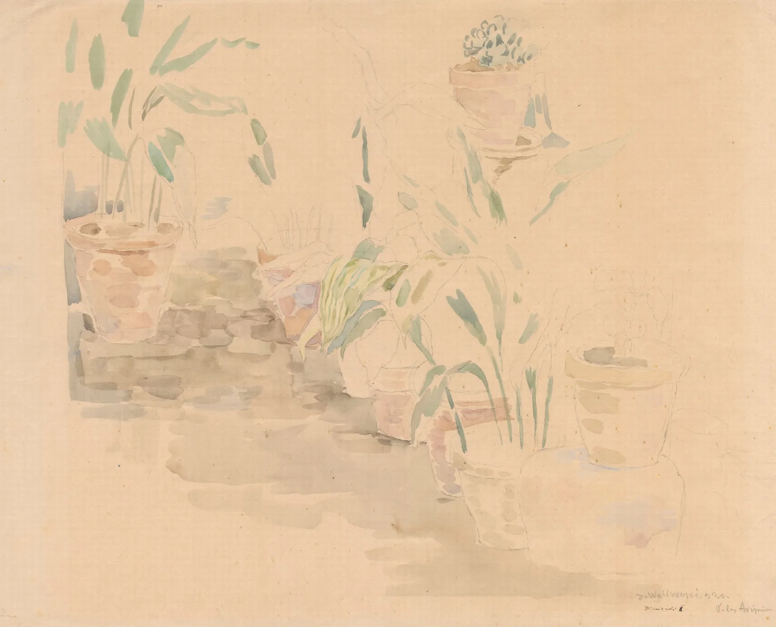 Flowerpots Ii Wall Art by Zygmunt Waliszewski - Canvas Print