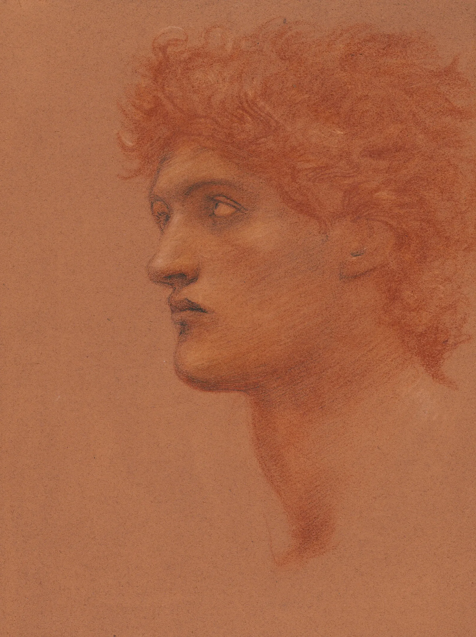 Study Of A Male Head In Profile For Perseus In The Call Of Perseus Wall Art by Sir Edward Coley Burne-Jones - Canvas Print