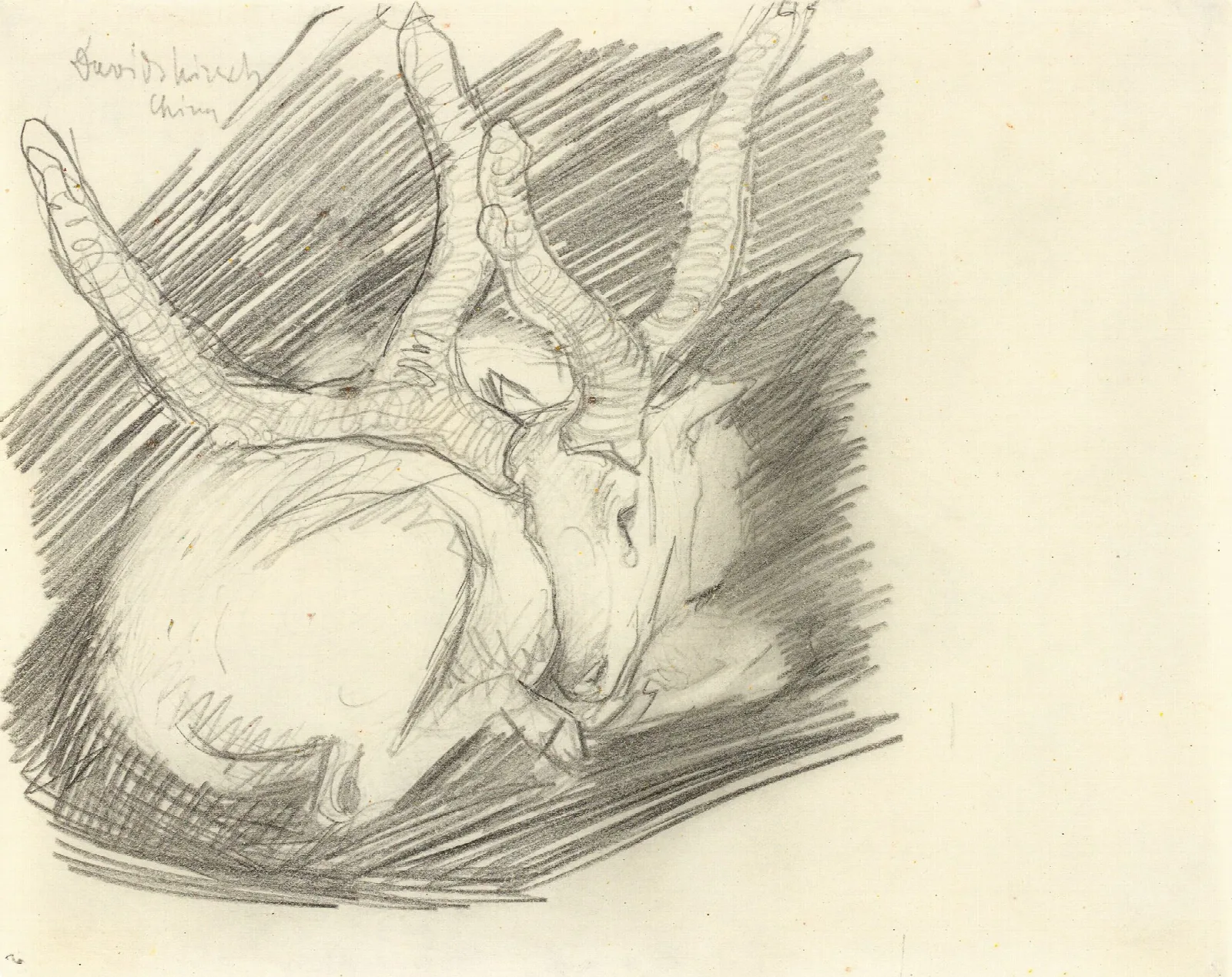 Davidshirsch Liegender Hirsch Wall Art by Franz Marc - Canvas Print