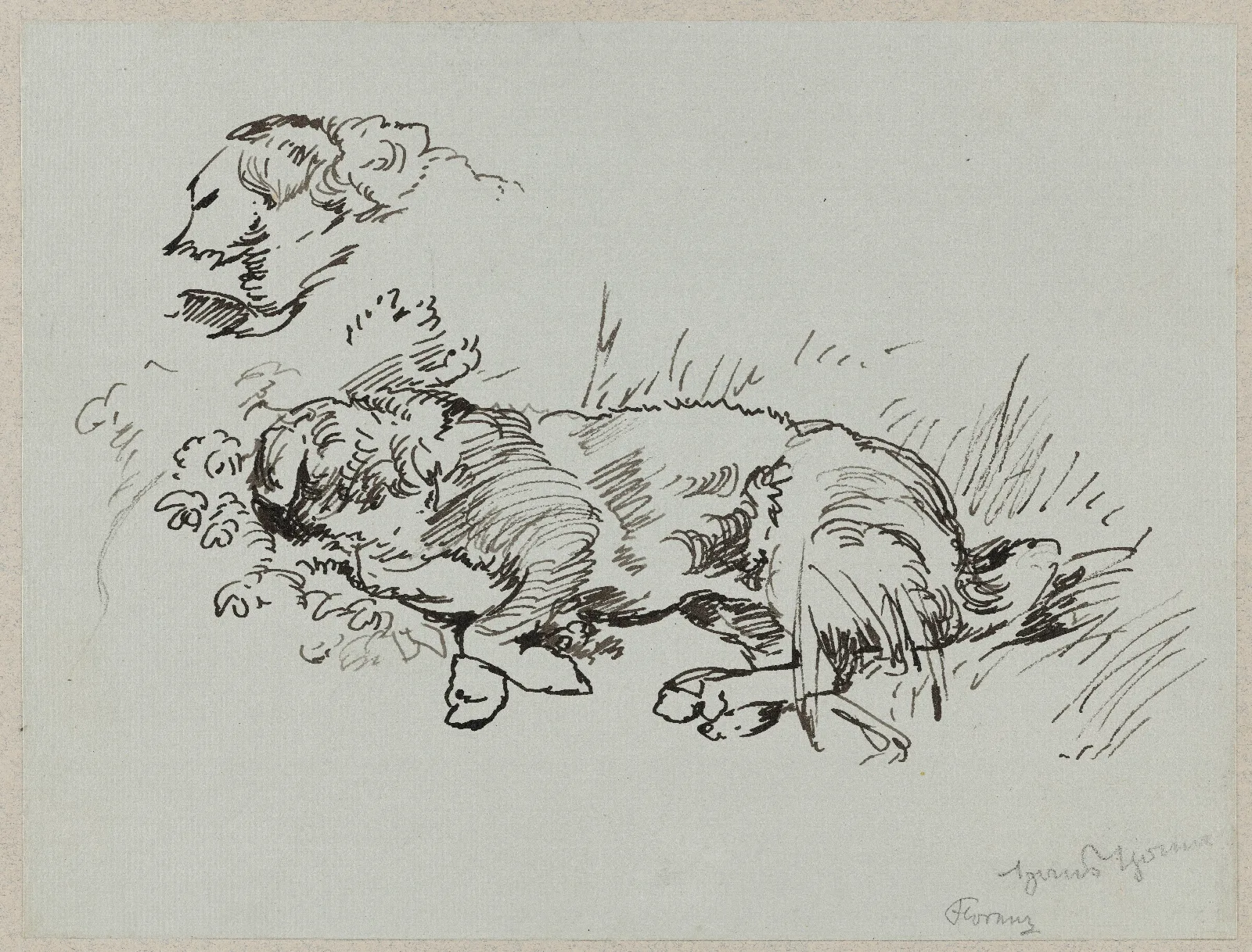 Dog Lying In The Grass Wall Art by Hans Thoma - Canvas Print