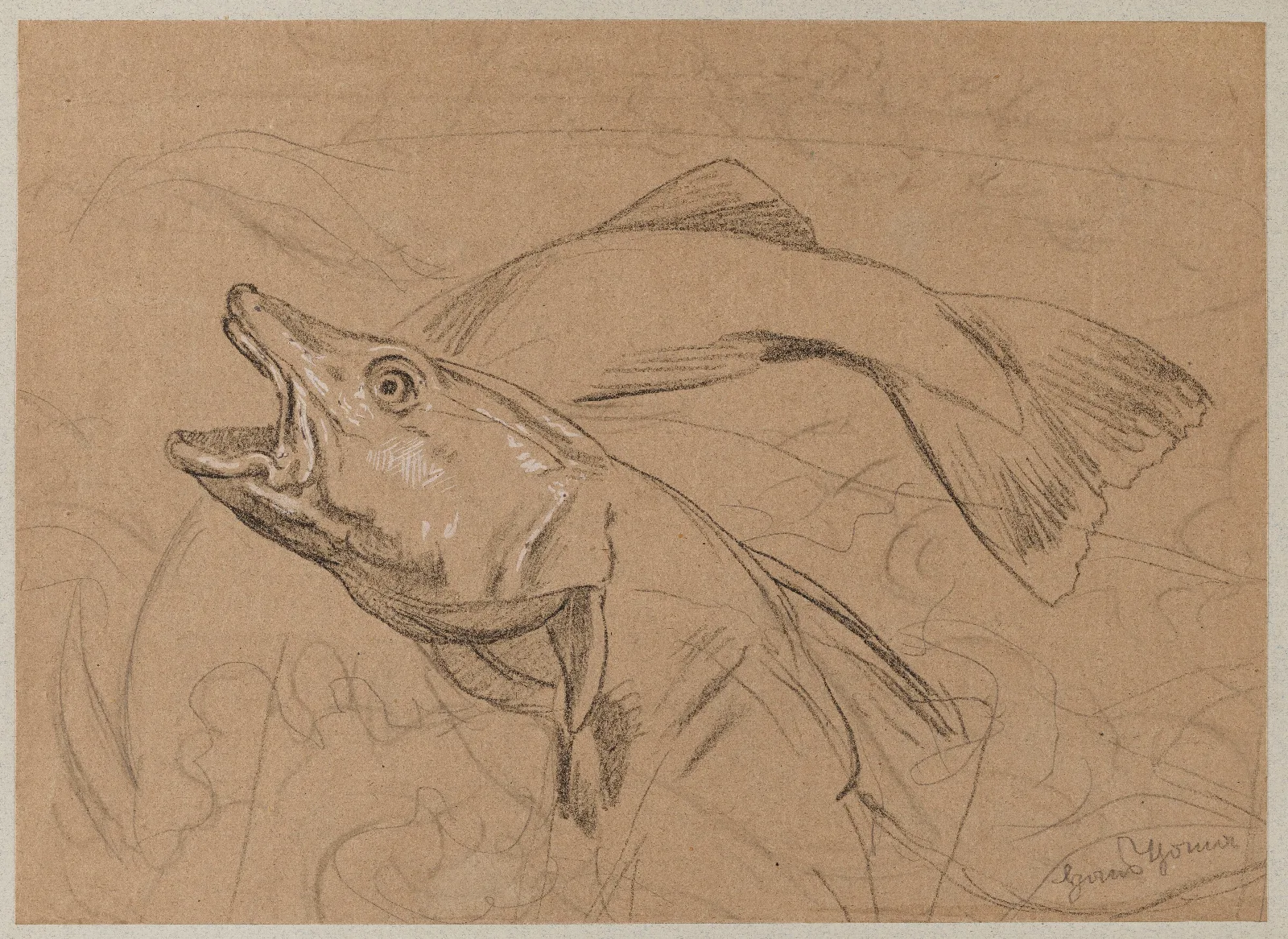 Study Of Fish Wall Art by Hans Thoma - Canvas Print