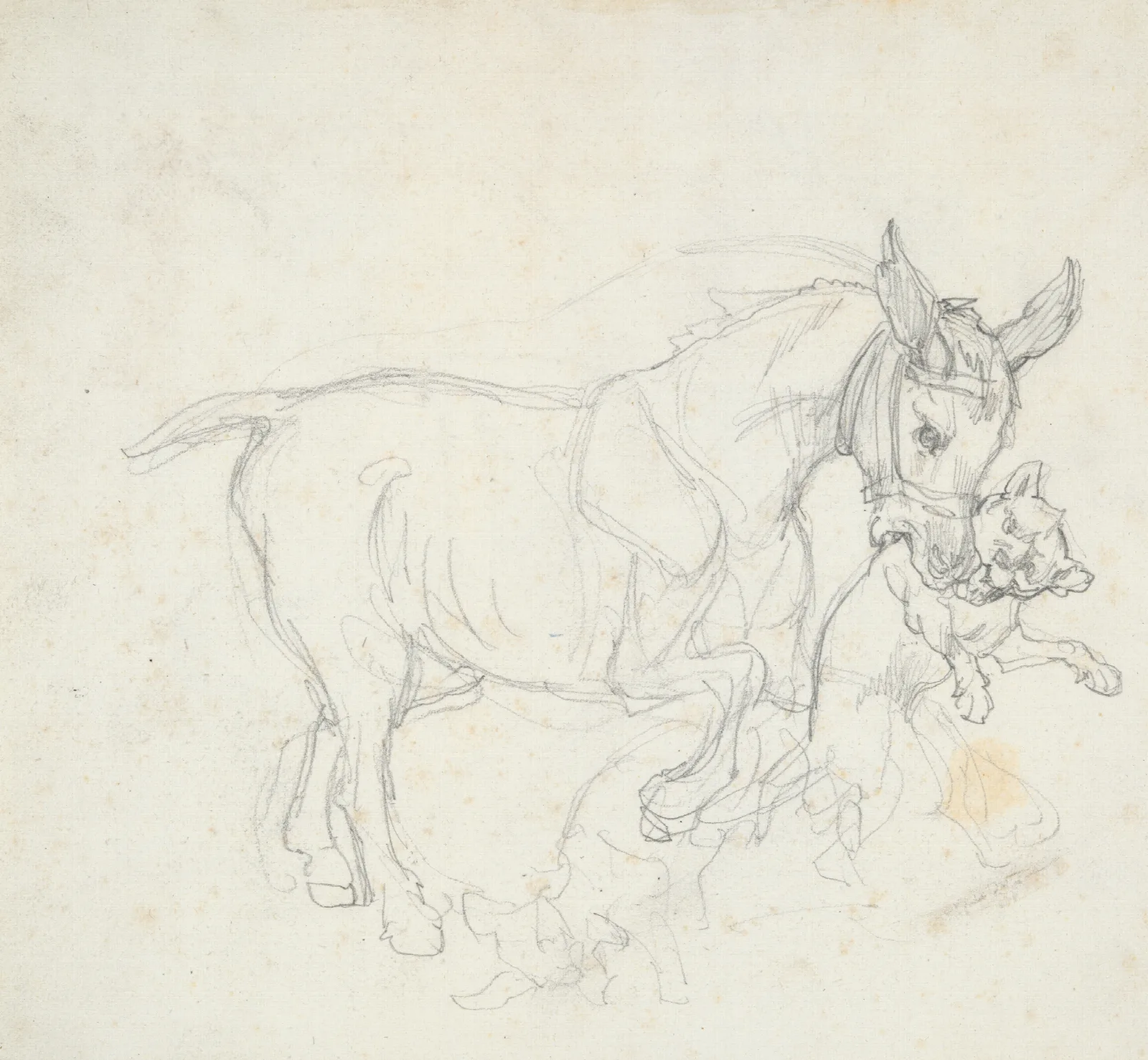 Donkey Holding Dog In Its Mouth Wall Art by Théodore Géricault - Canvas Print
