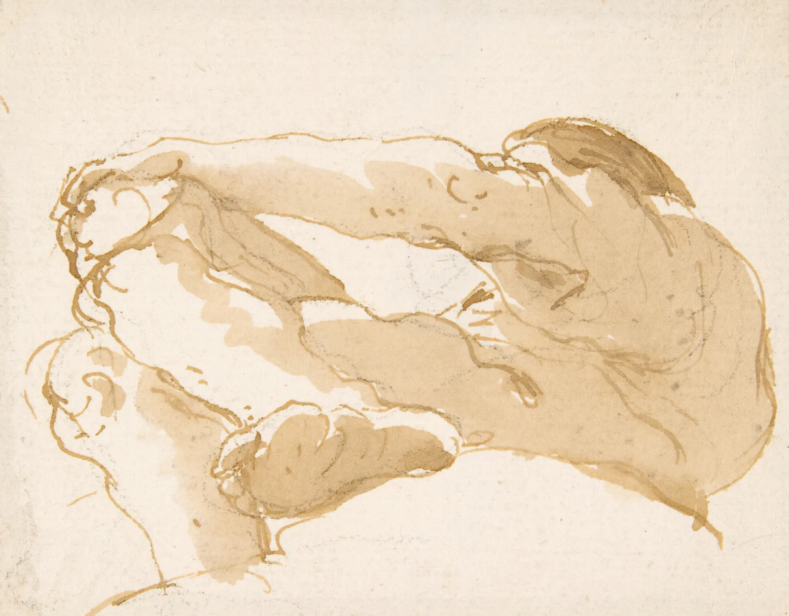 Seated Man Turned Towards The Left Seen From Below Wall Art by Giovanni Battista Tiepolo - Canvas Print