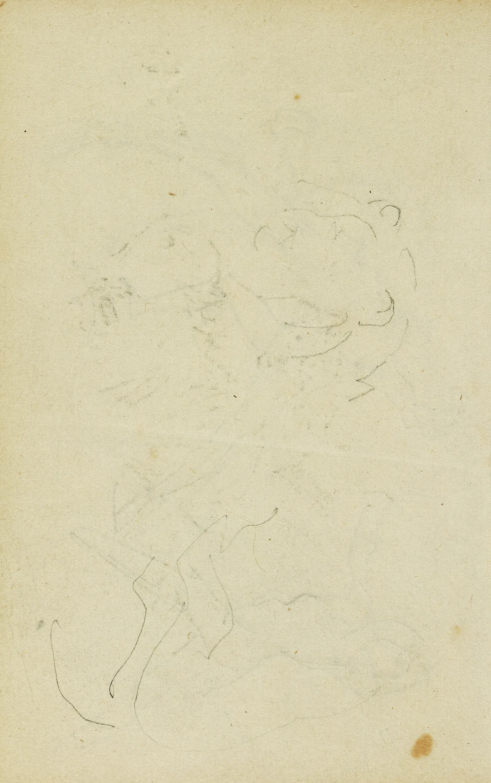 Sketches Of Head And Hind Legs Of A Lion Wall Art by Théodore Géricault - Canvas Print