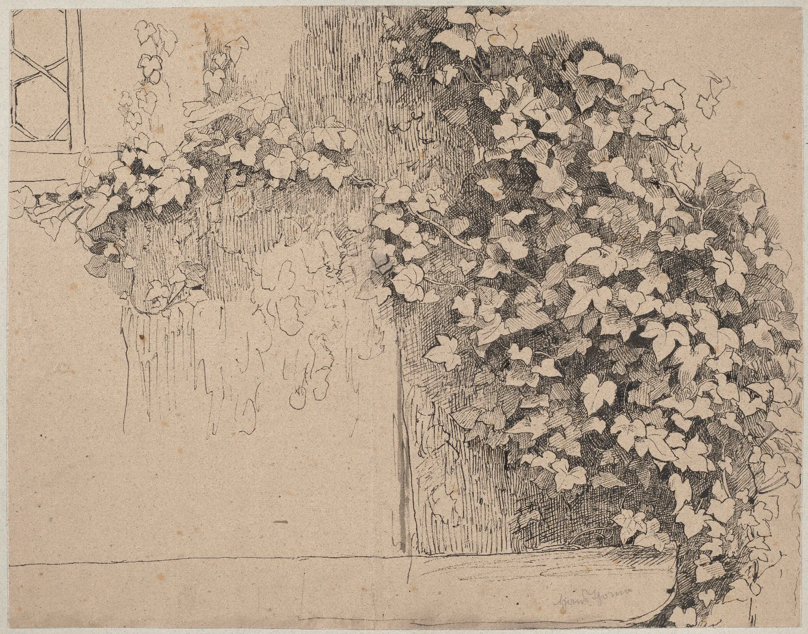 Study Of Ivy Climbing Up The Wall Wall Art by Hans Thoma - Canvas Print