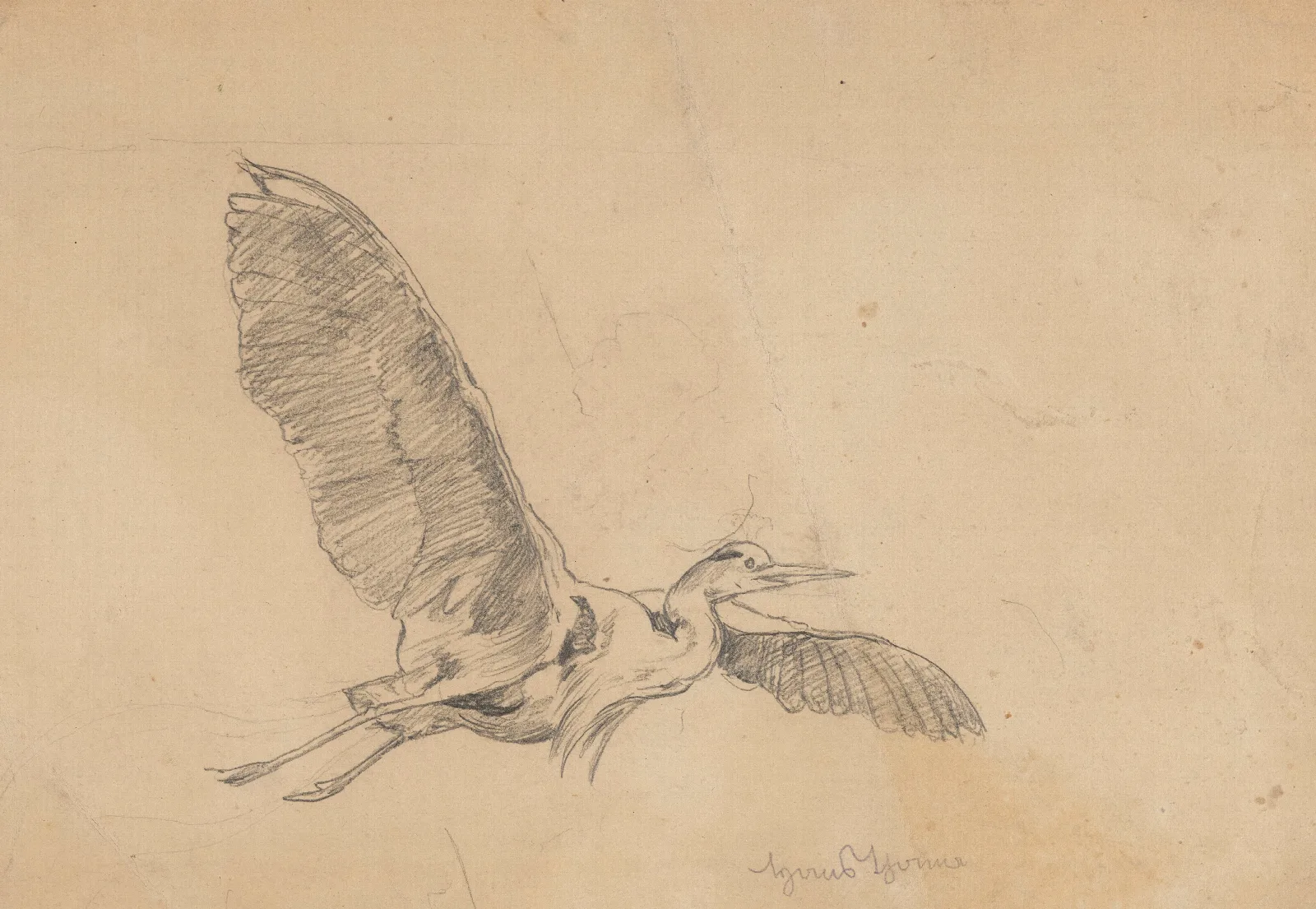 Heron In Flight Wall Art by Hans Thoma - Canvas Print