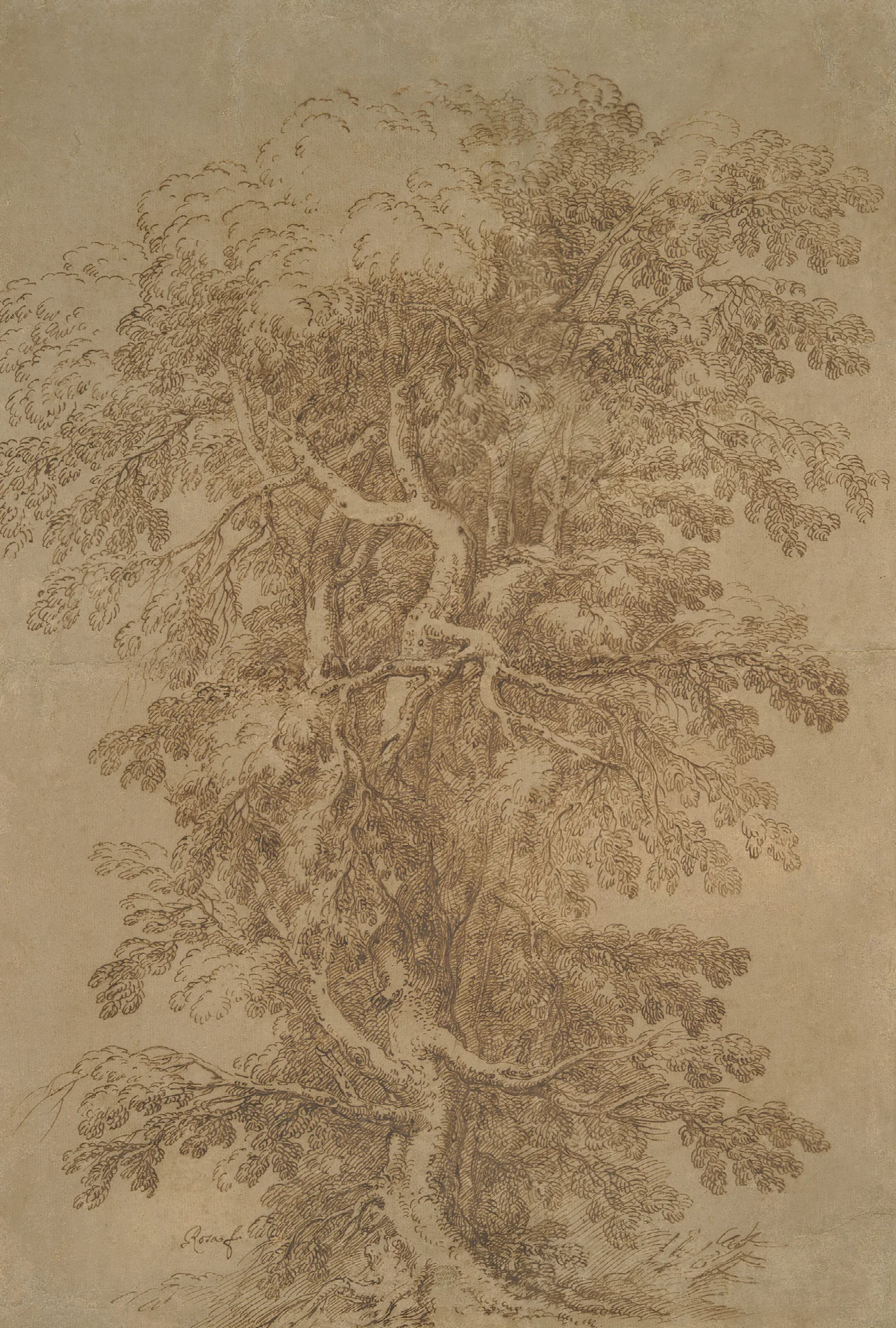 A Large Tree Wall Art by Salvator Rosa - Canvas Print