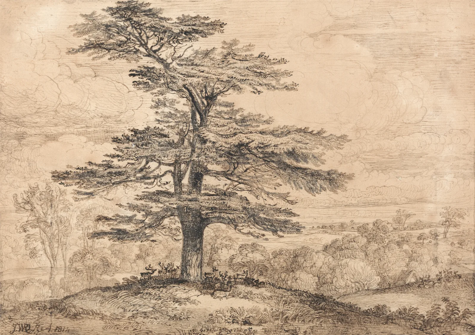 A Cedar On A Rise With A Herd Of Deer Grouped Beneath Its Shade Wall Art by James Ward - Canvas Print