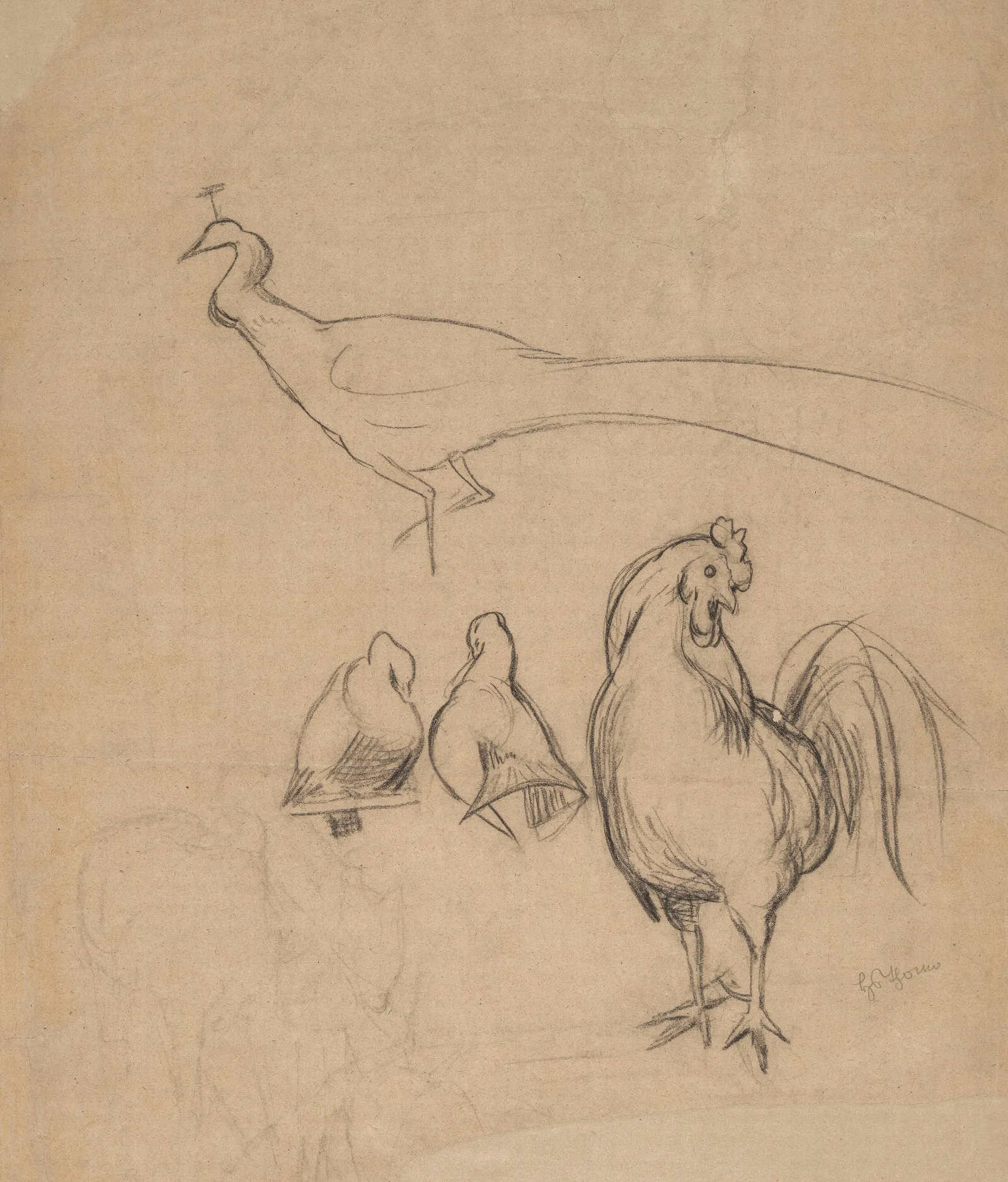 Peacock Rooster And Two Pigeons Wall Art by Hans Thoma - Canvas Print