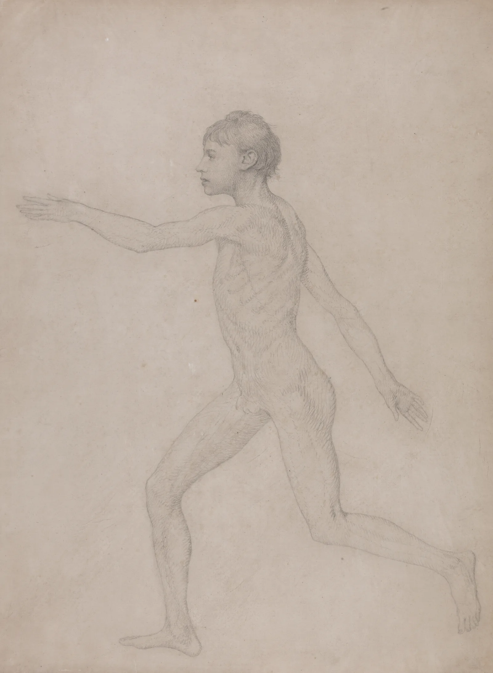 Human Figure Lateral View Wall Art by George Stubbs - Canvas Print